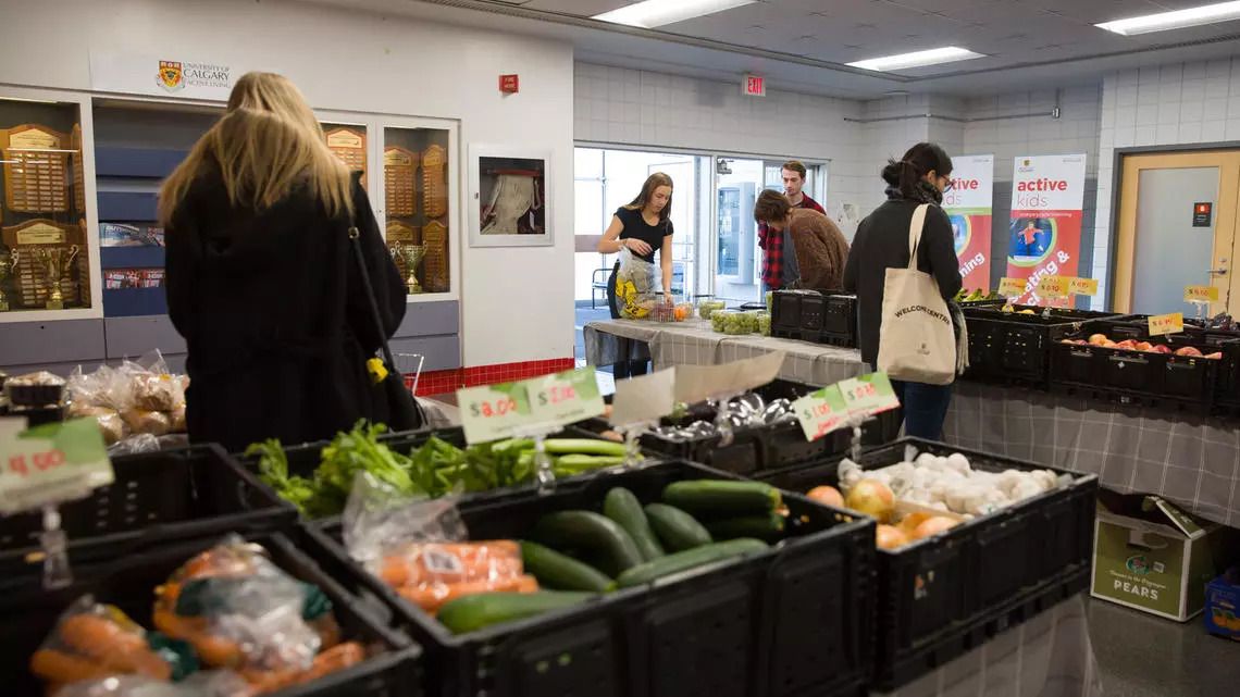 New campus food hub is a physical space for students dealing with food insecurity