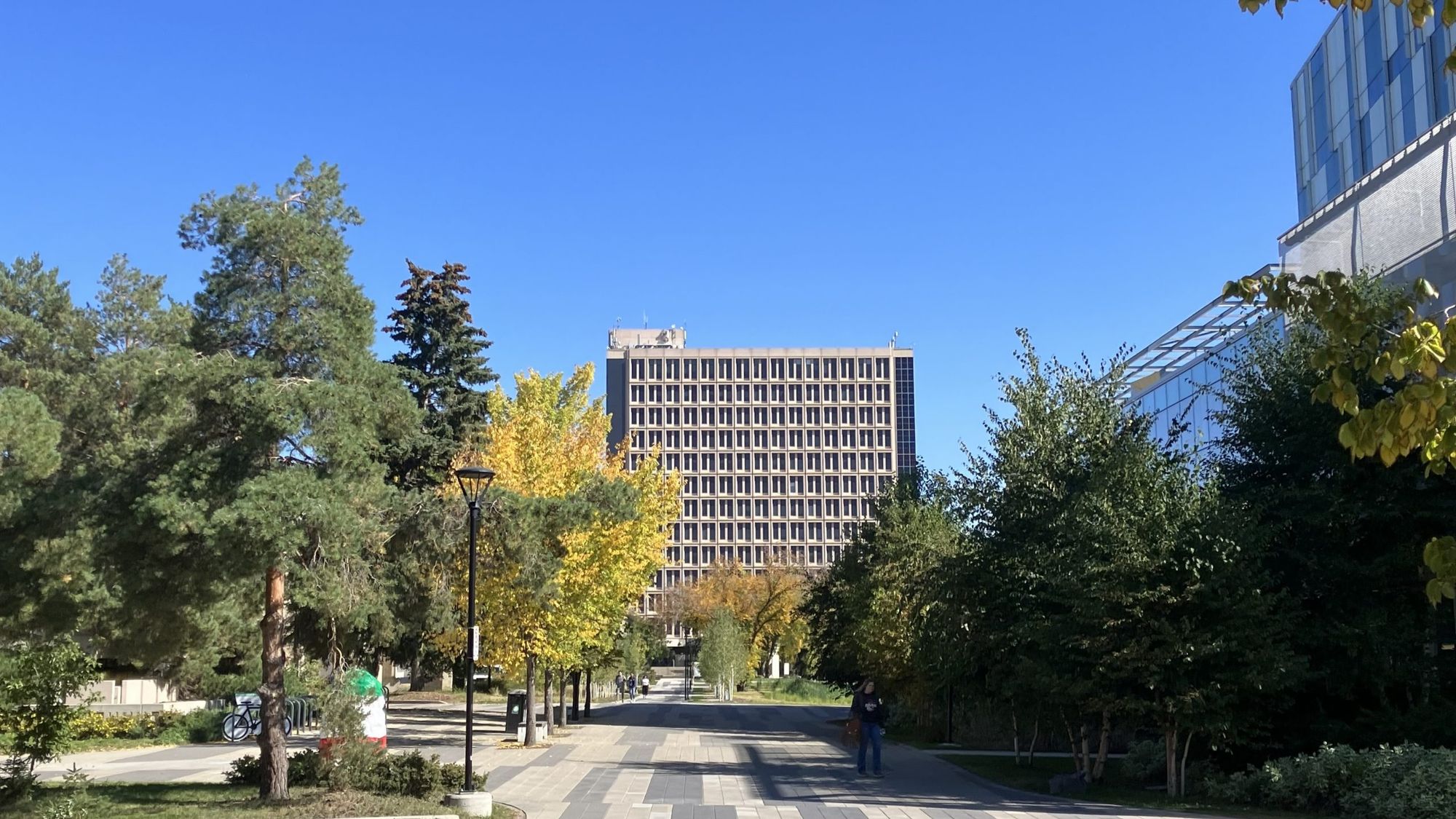 SLC holds Student Wellness, Access and Support consultation and discusses BOG post-report