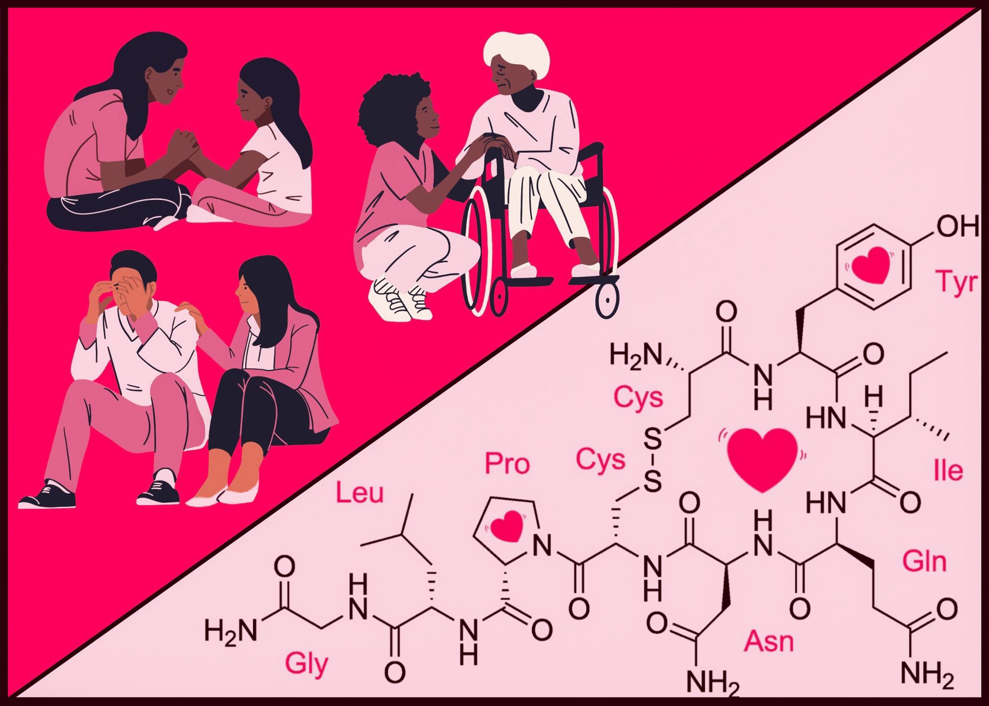 Postdoc at the Hotchkiss Brain Institute finds empathy is regulated by oxytocin