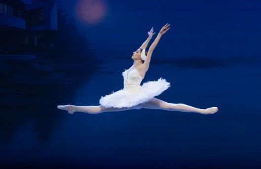 One night to witness, a lifetime to remember: Swan Lake