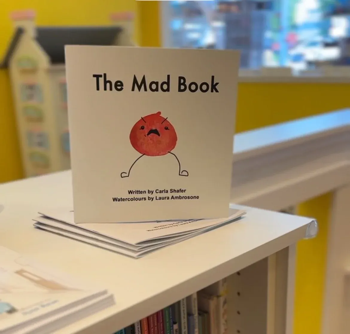 Calgary based duo break ground with new emotions with the release of their sophomore book The Mad Book