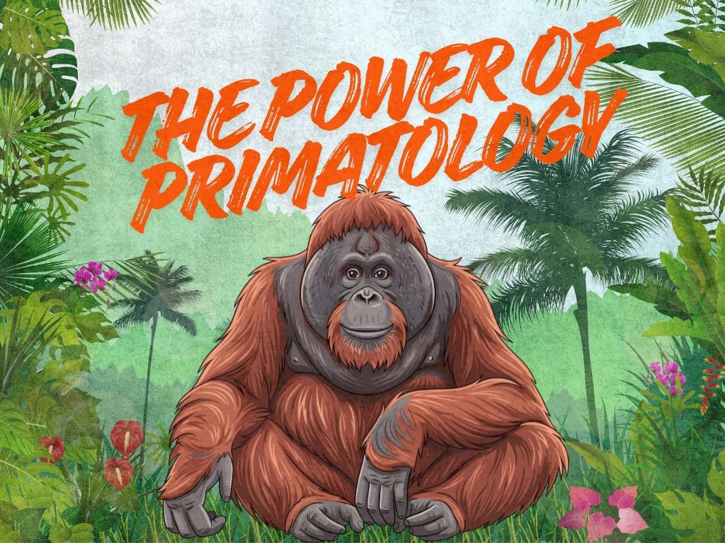 The power of primatology at U of C