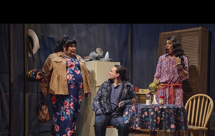 Awoowaakii: Theatre Calgary brings Blackfoot family drama to life