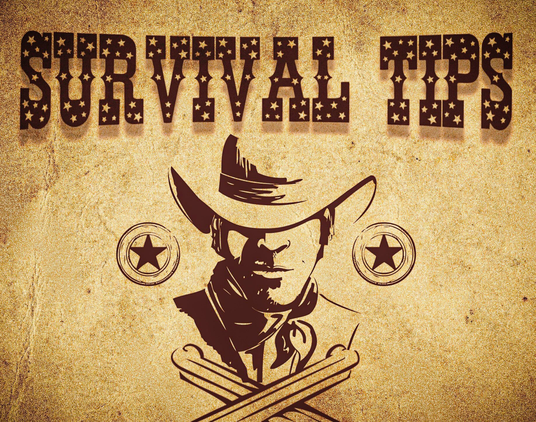 How to get through Stampede in one piece