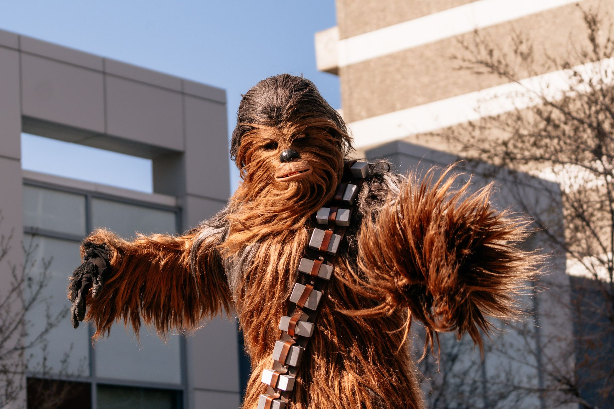 Calgary Expo 2025: Parade Visual Feature