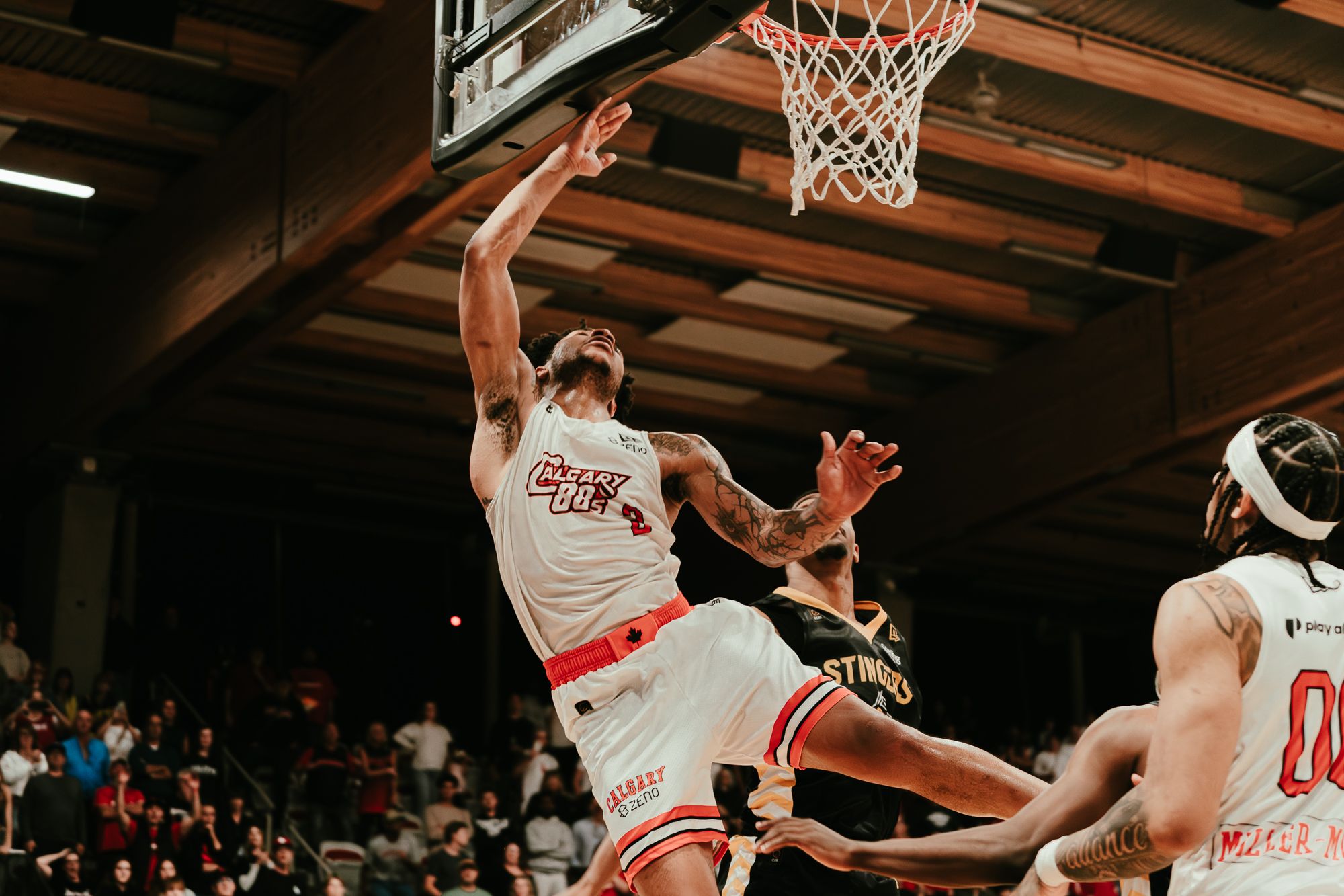 Surge surge past Stingers in CEBL Western Playoff clash