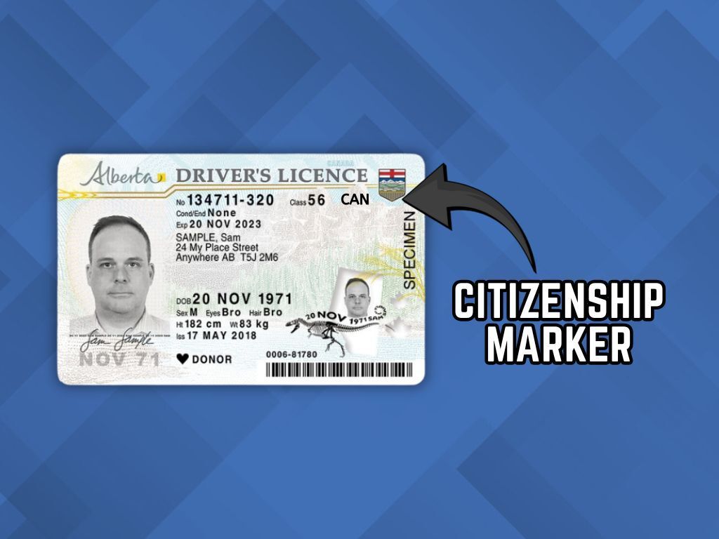 Alberta to add proof of citizenship markers to driver’s licences