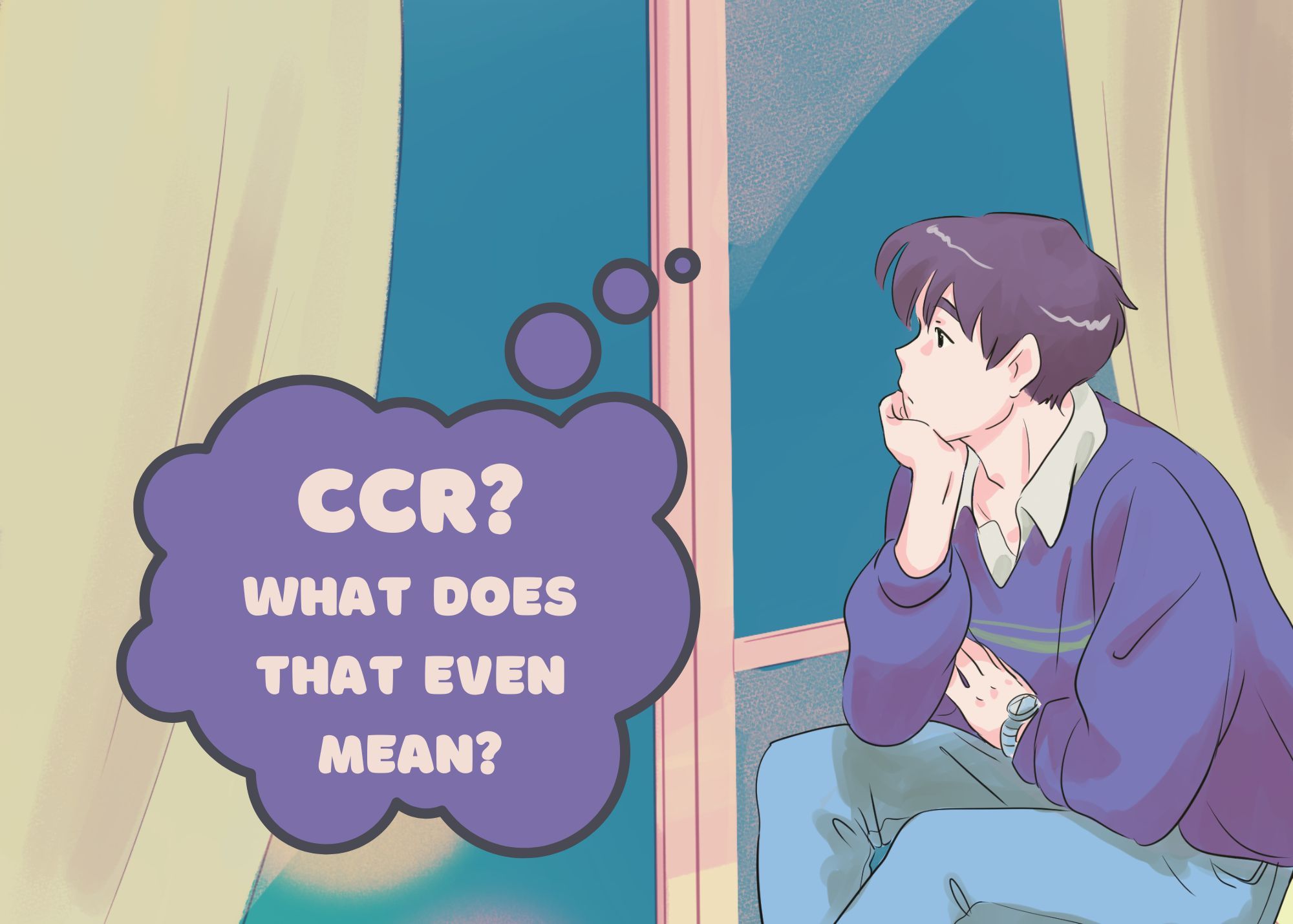 What are Co-Curricular Records?