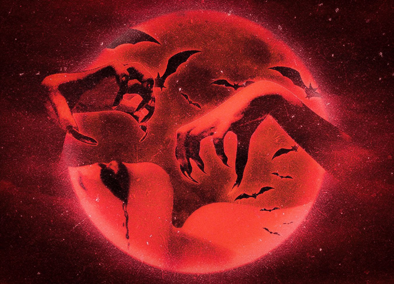 Black and blood feature: Sylvia Lopez