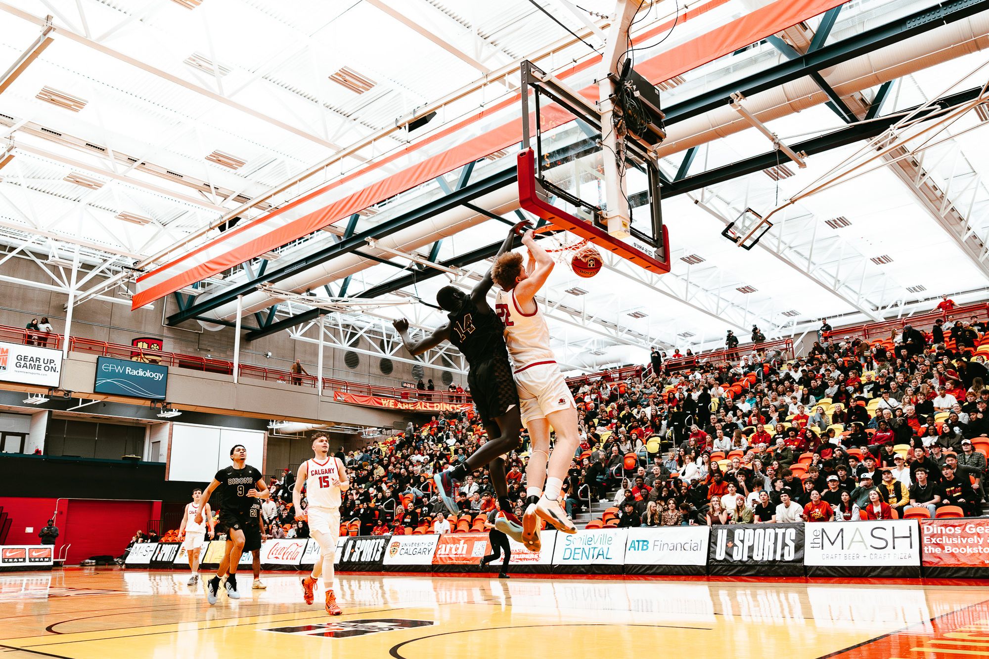 Close, but No Cigar. Men’s Dinos fall in hard-fought loss to Manitoba Bisons