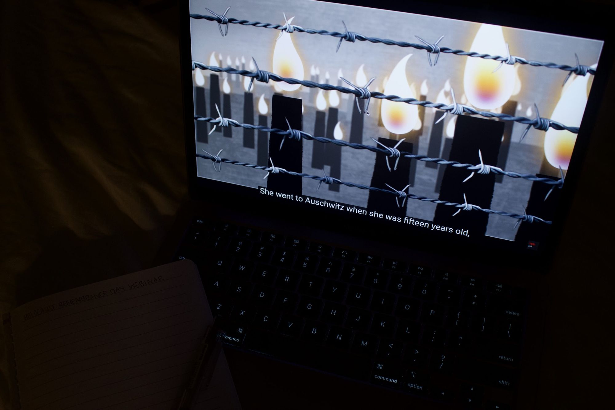 Faculty of Arts Equity, Diversity and Inclusion Committee hosts webinar on Holocaust remembrance