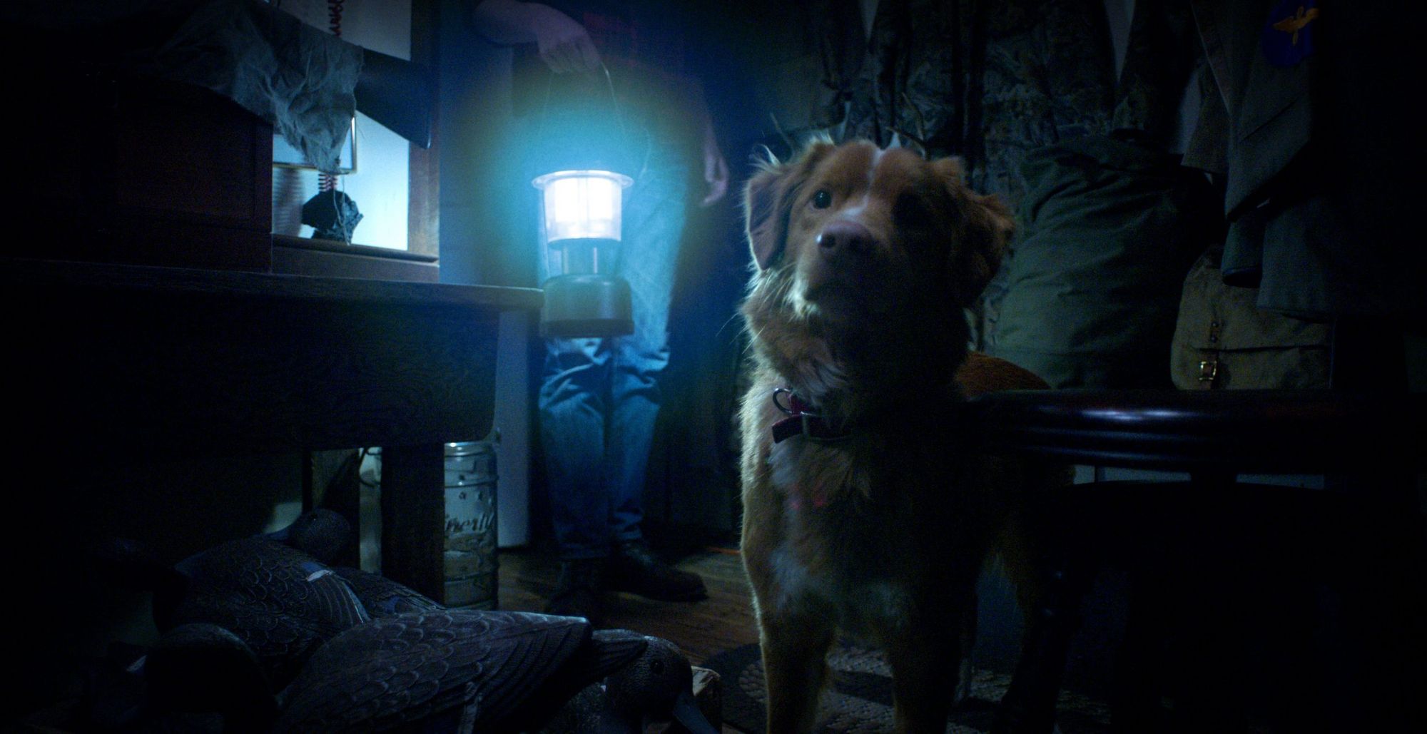 CUFF 2025 features Good Boy: An unconventional and endearing supernatural horror film