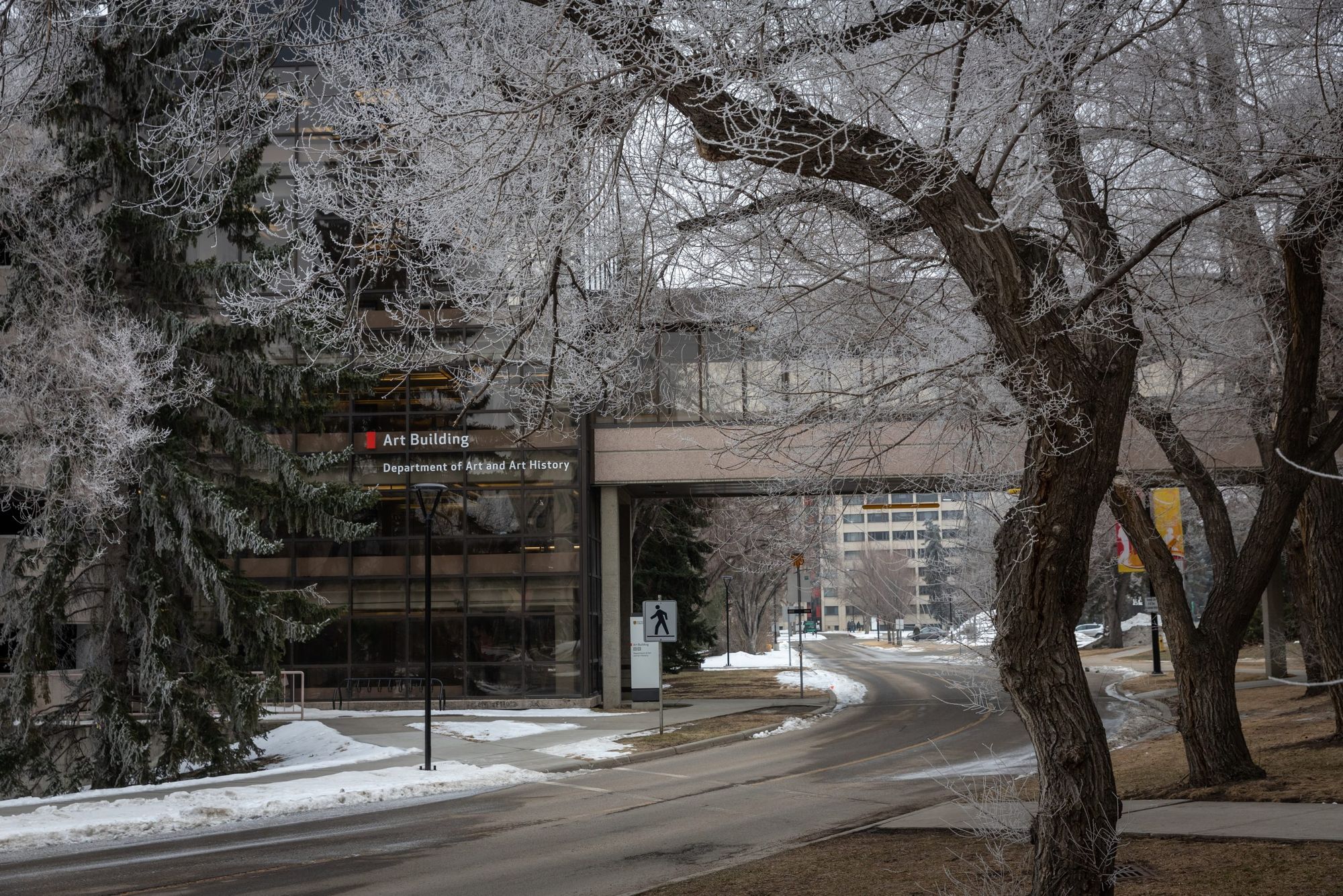 School of Creative and Performing Arts hosts EDI town hall