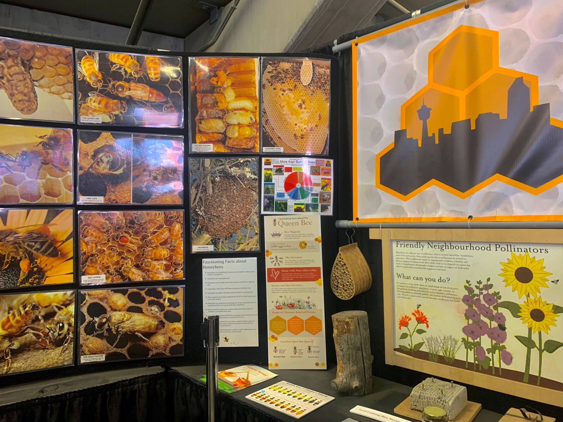 Local non-profit educates Calgarians on honeybees and the importance of other pollinators