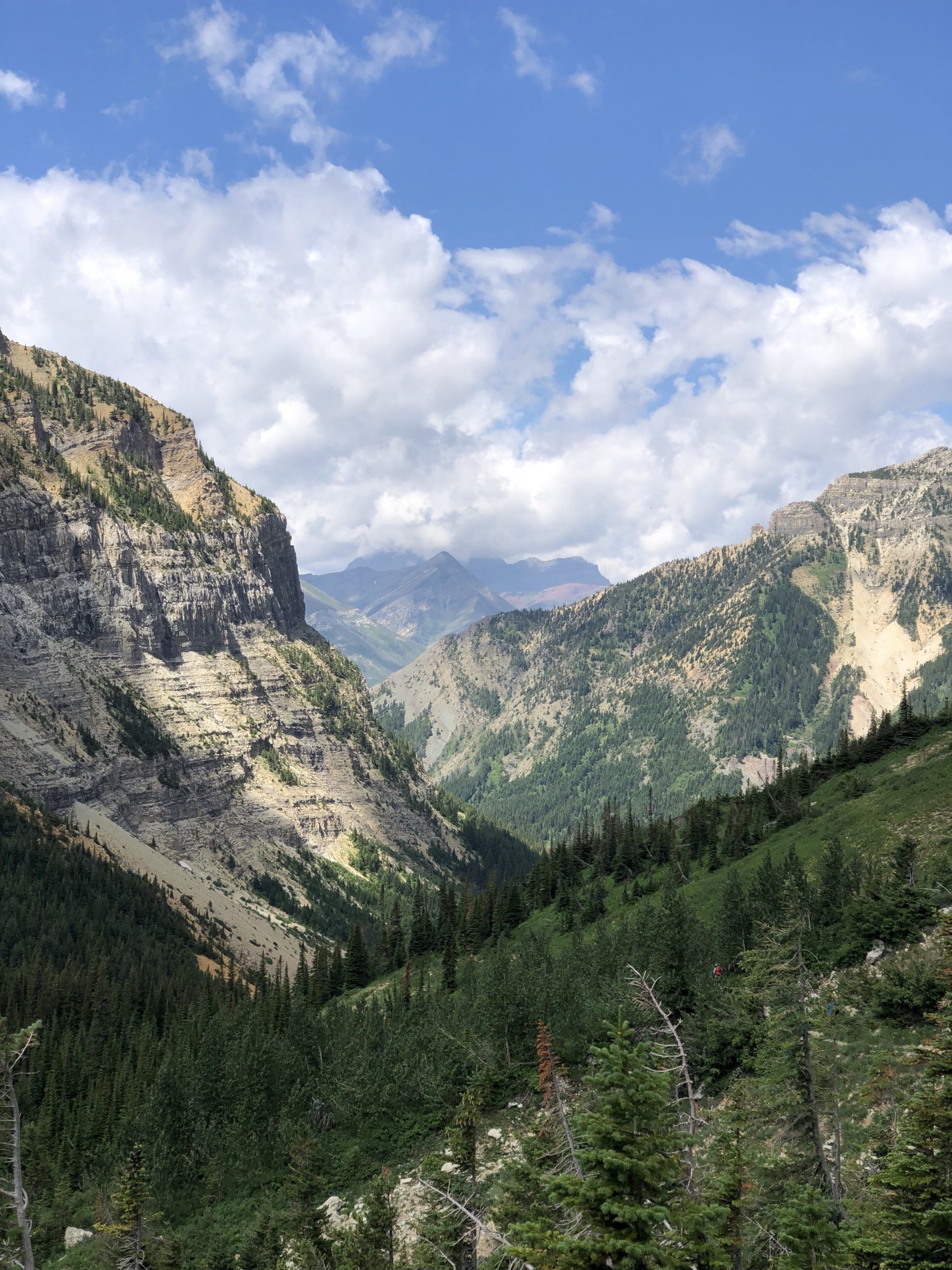 End of summer feature: Megan Koch