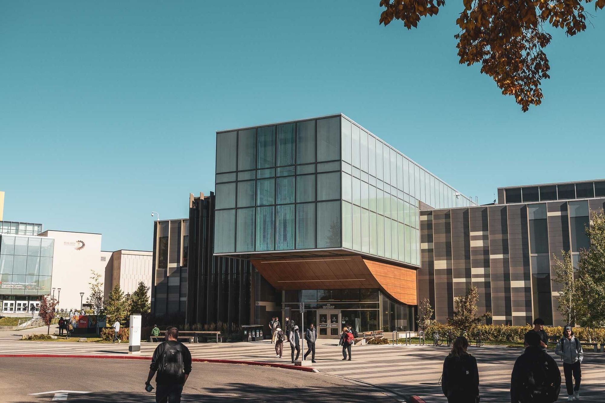 How to supplement your undergraduate degree with summer research