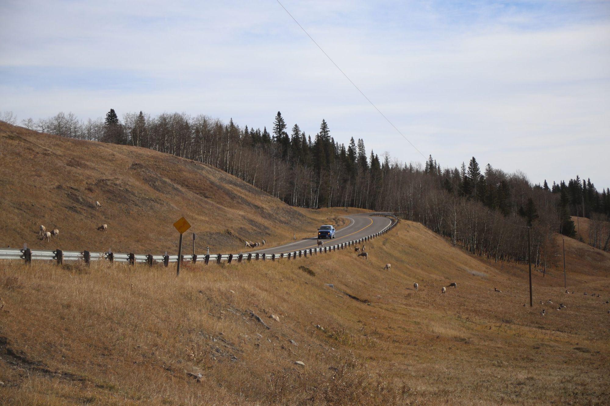 New Calgary-Banff rail project proposal raises concerns among conservation groups
