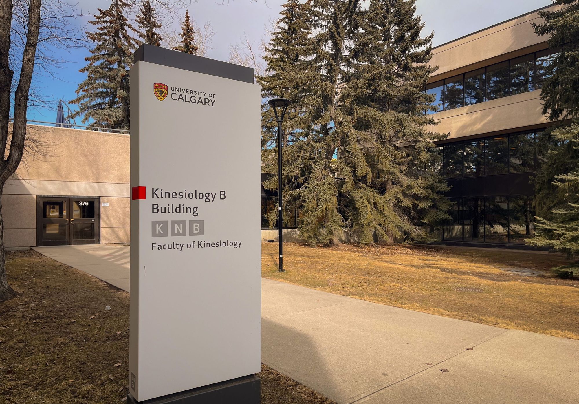Kinesiology professor addresses gaps in neurodivergent-inclusive physical activity studies