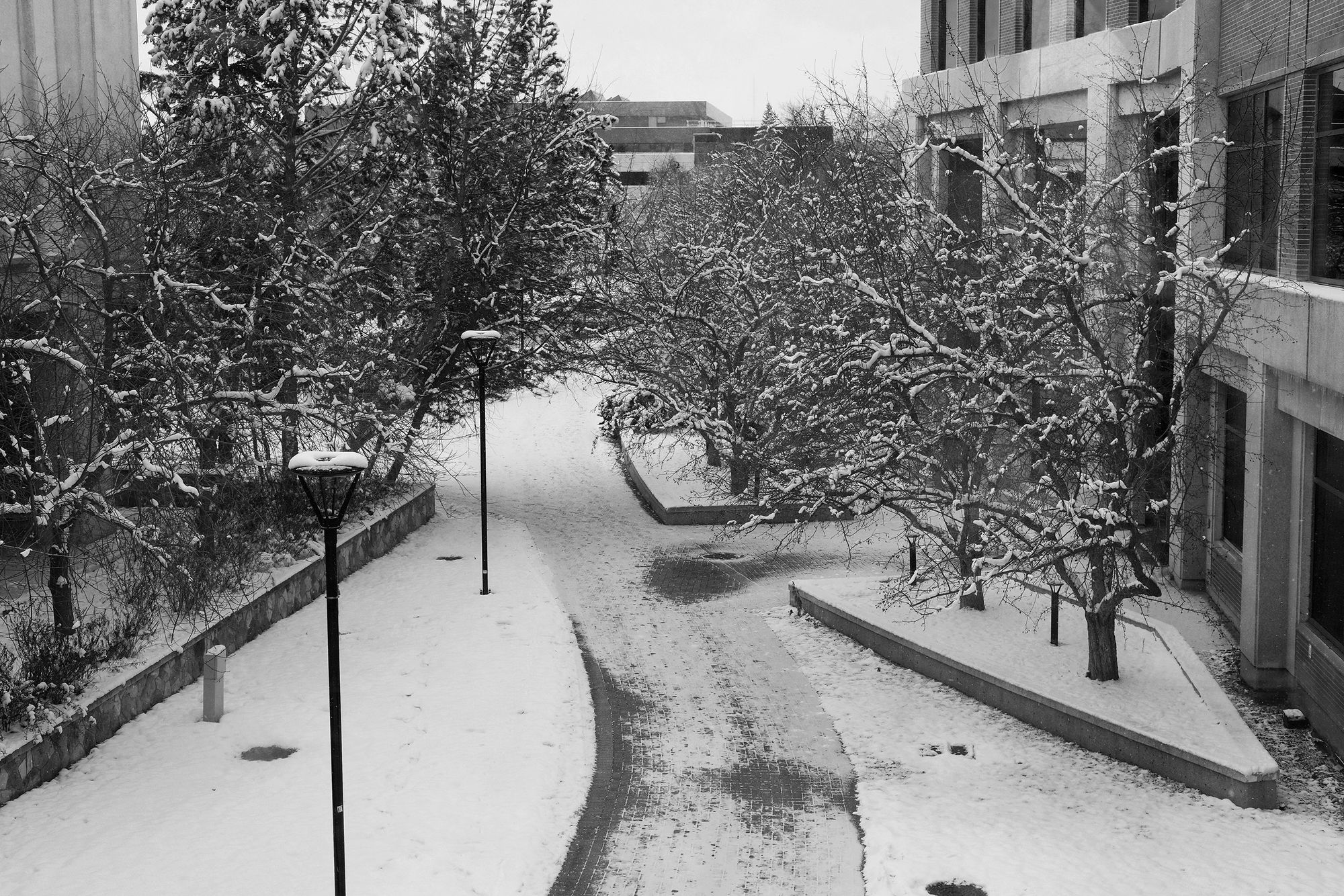 A Winter Wonderland: Things to do in Calgary this December