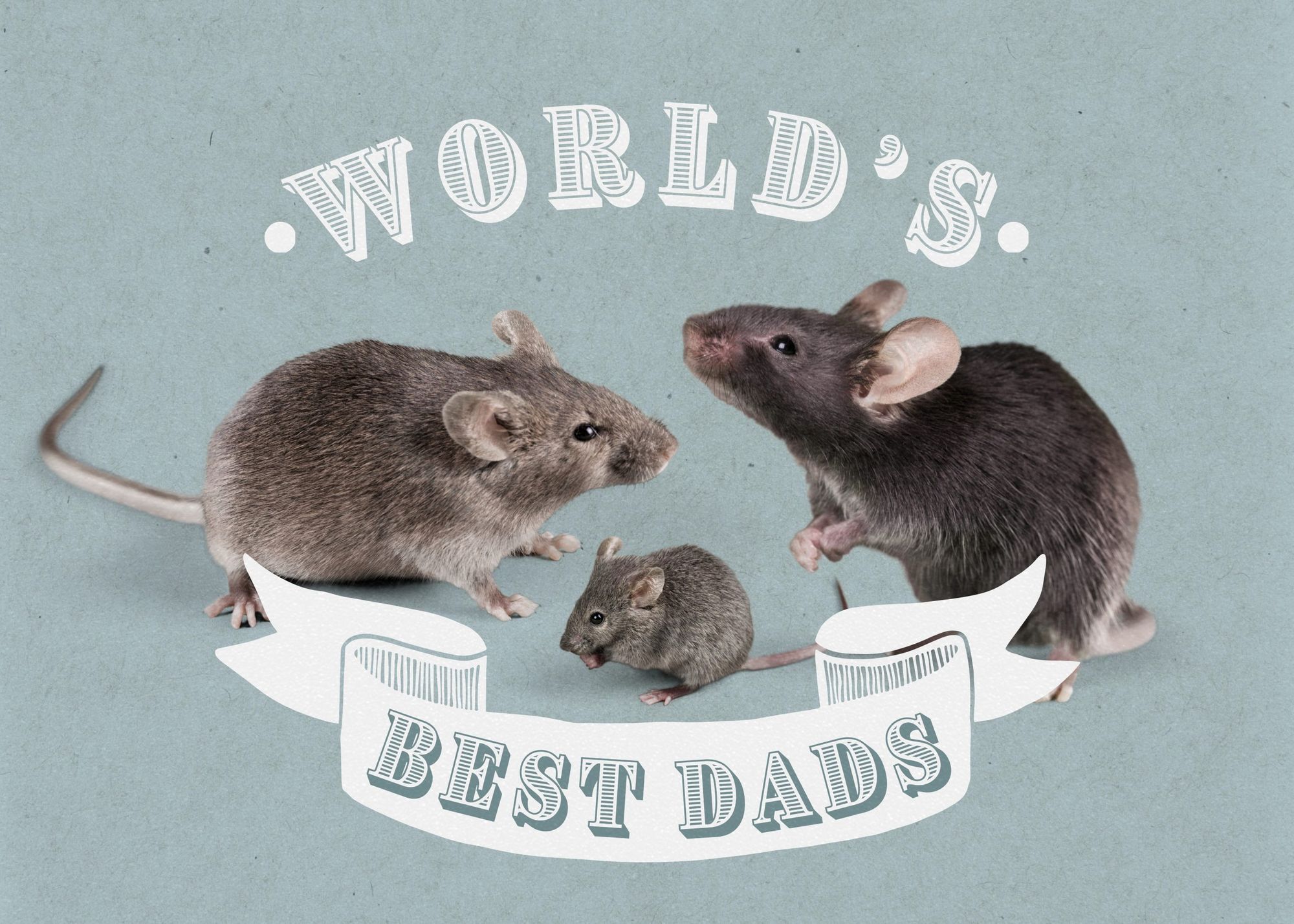 Scientists create mice offspring with two fathers from male DNA