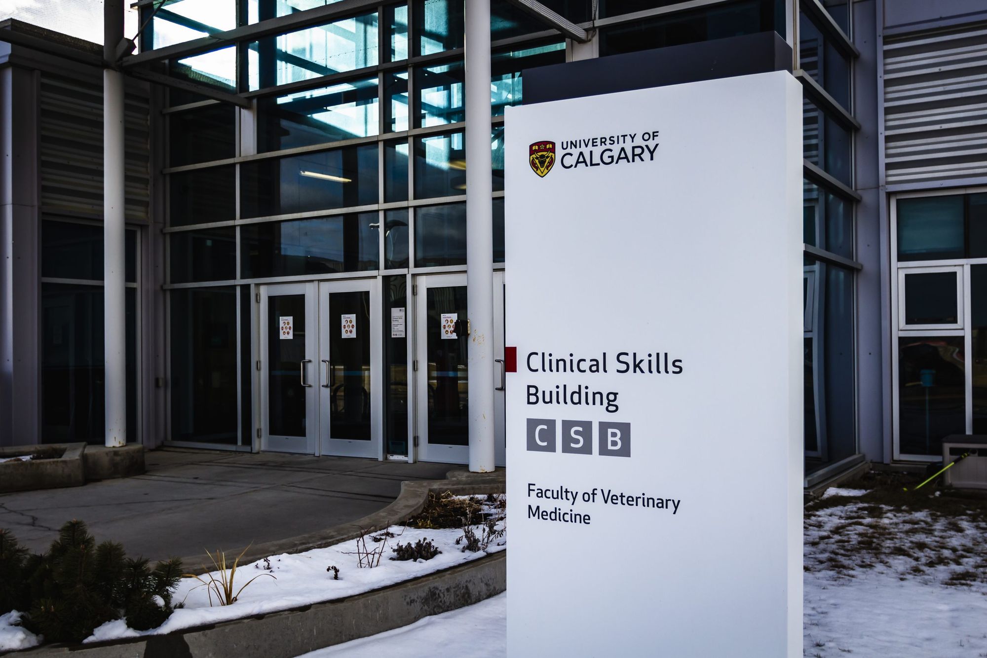 New U of C doctoral scholarship inspires student leadership in mental health