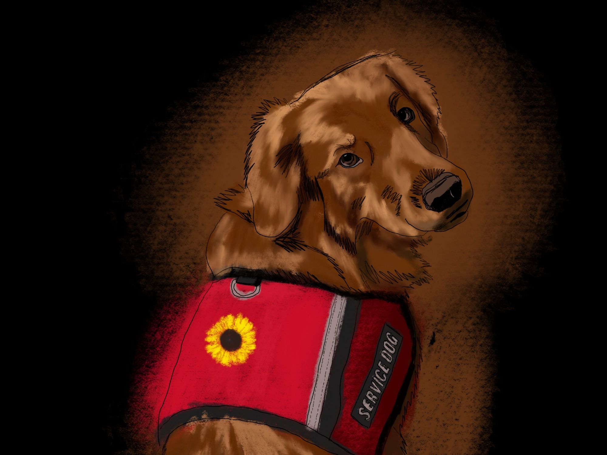 Education needed on campus around service dogs and persons with invisible disabilities