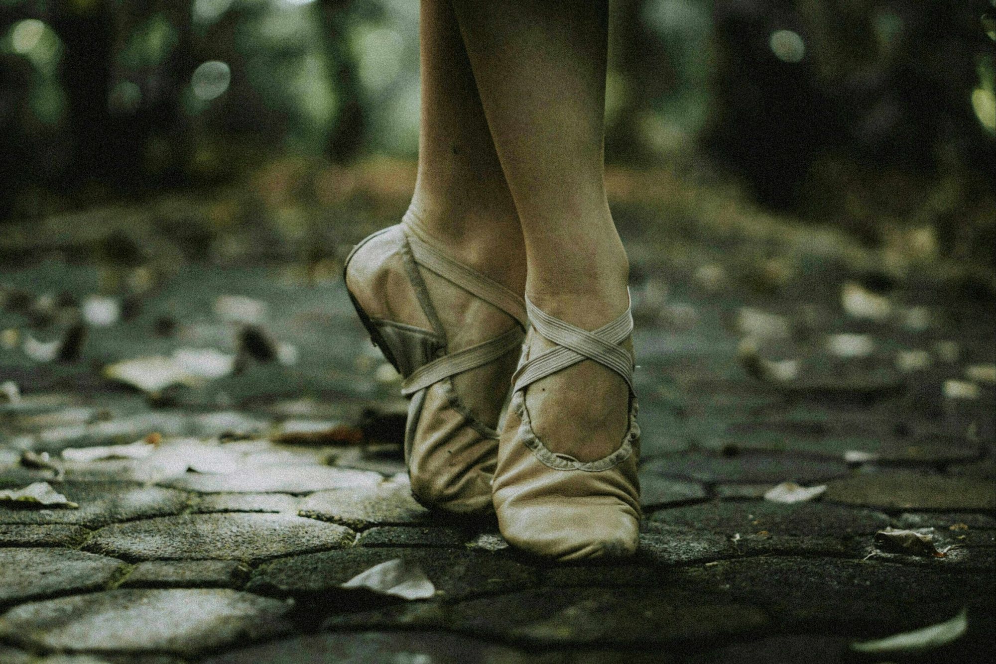 Ballet Bodies: In Motion III Review