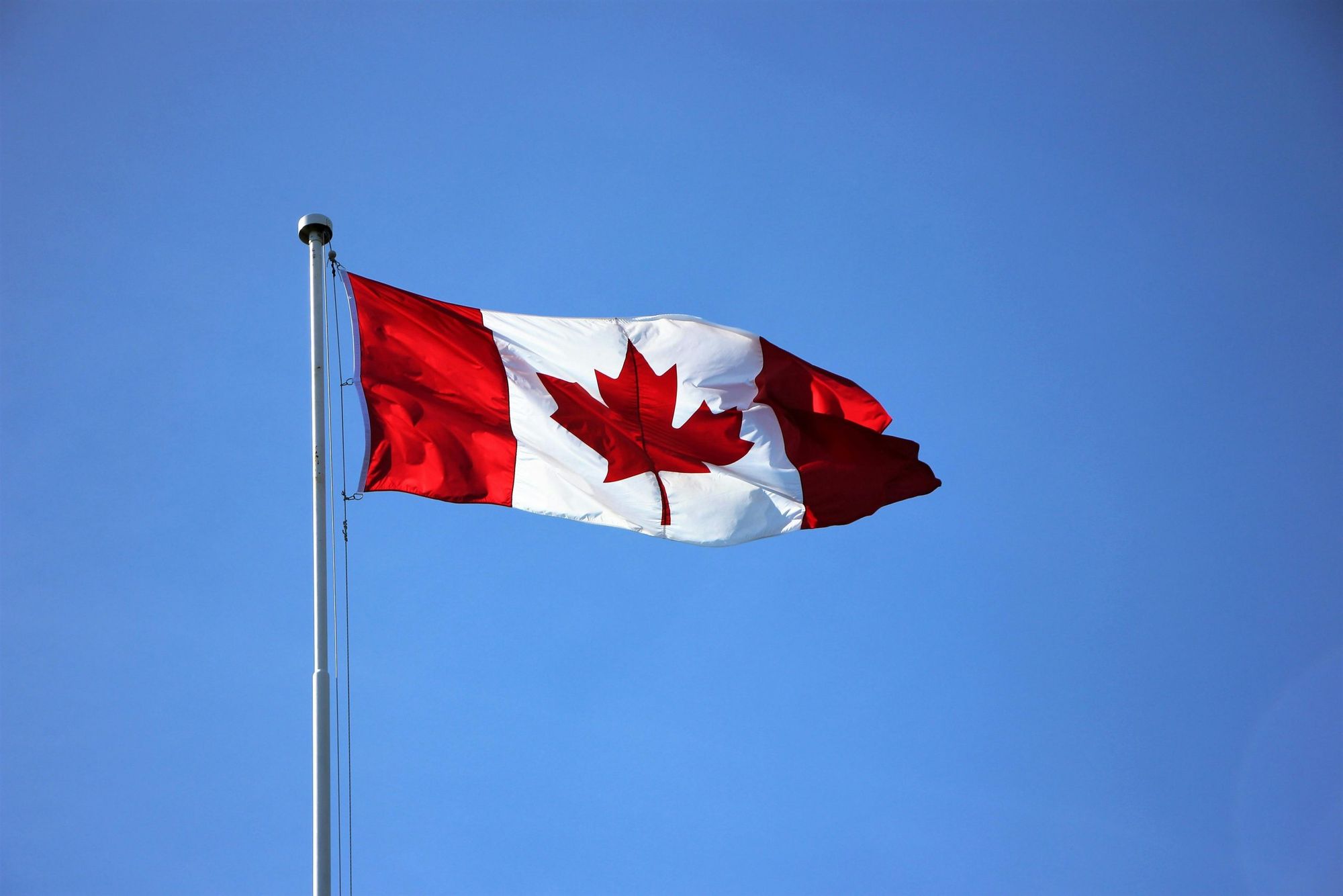 Supporting local: Canadian brands that make a difference