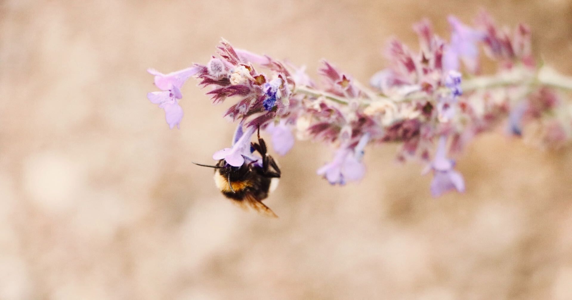 Visuals feature: Mackenzie Ashcroft