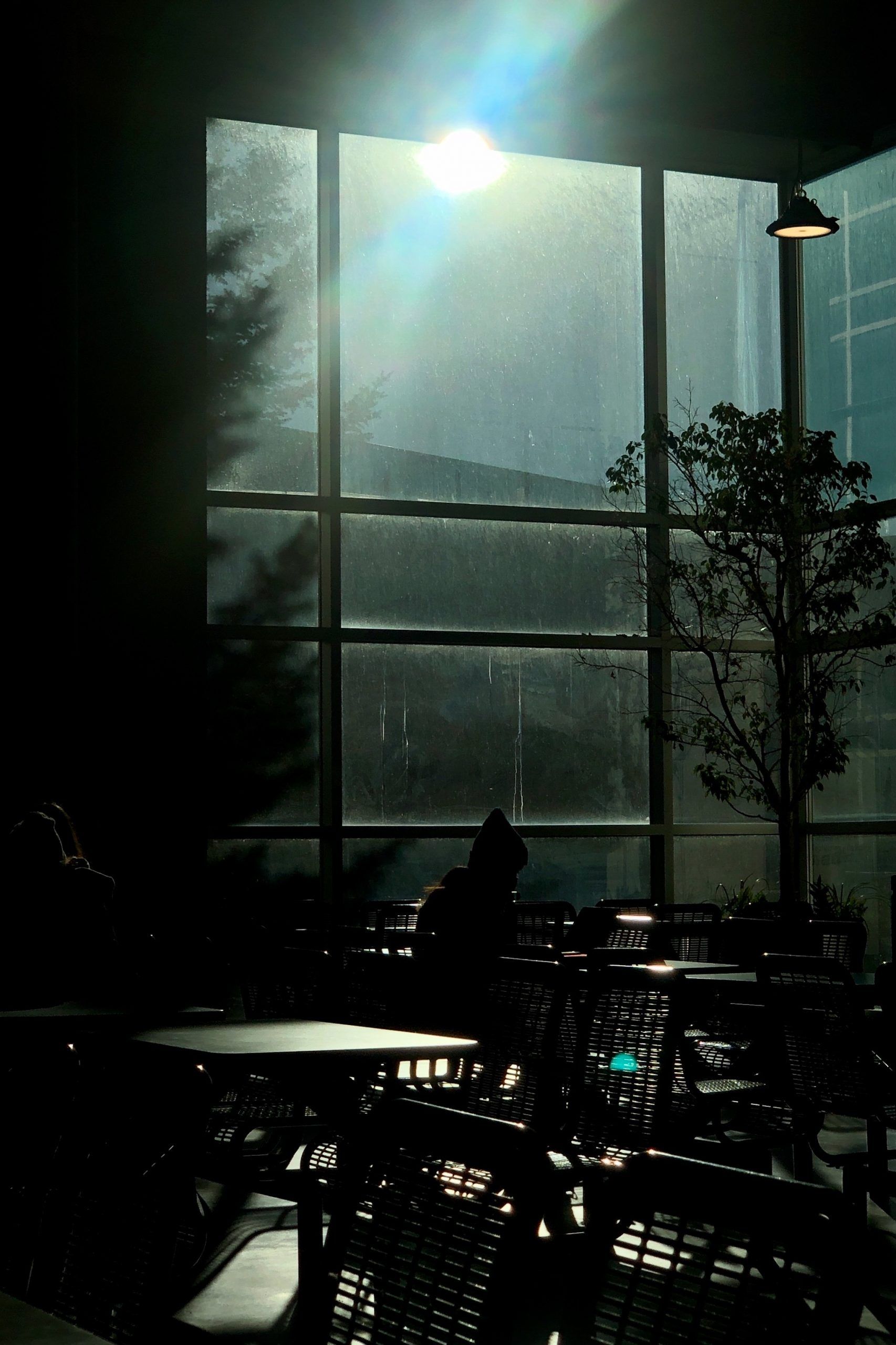 Visuals feature: Malea Nguyen