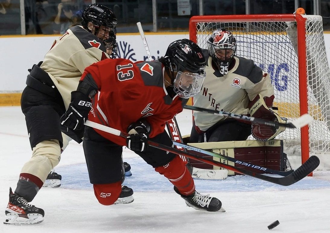 Ranking and reviewing the new PWHL team names and logos