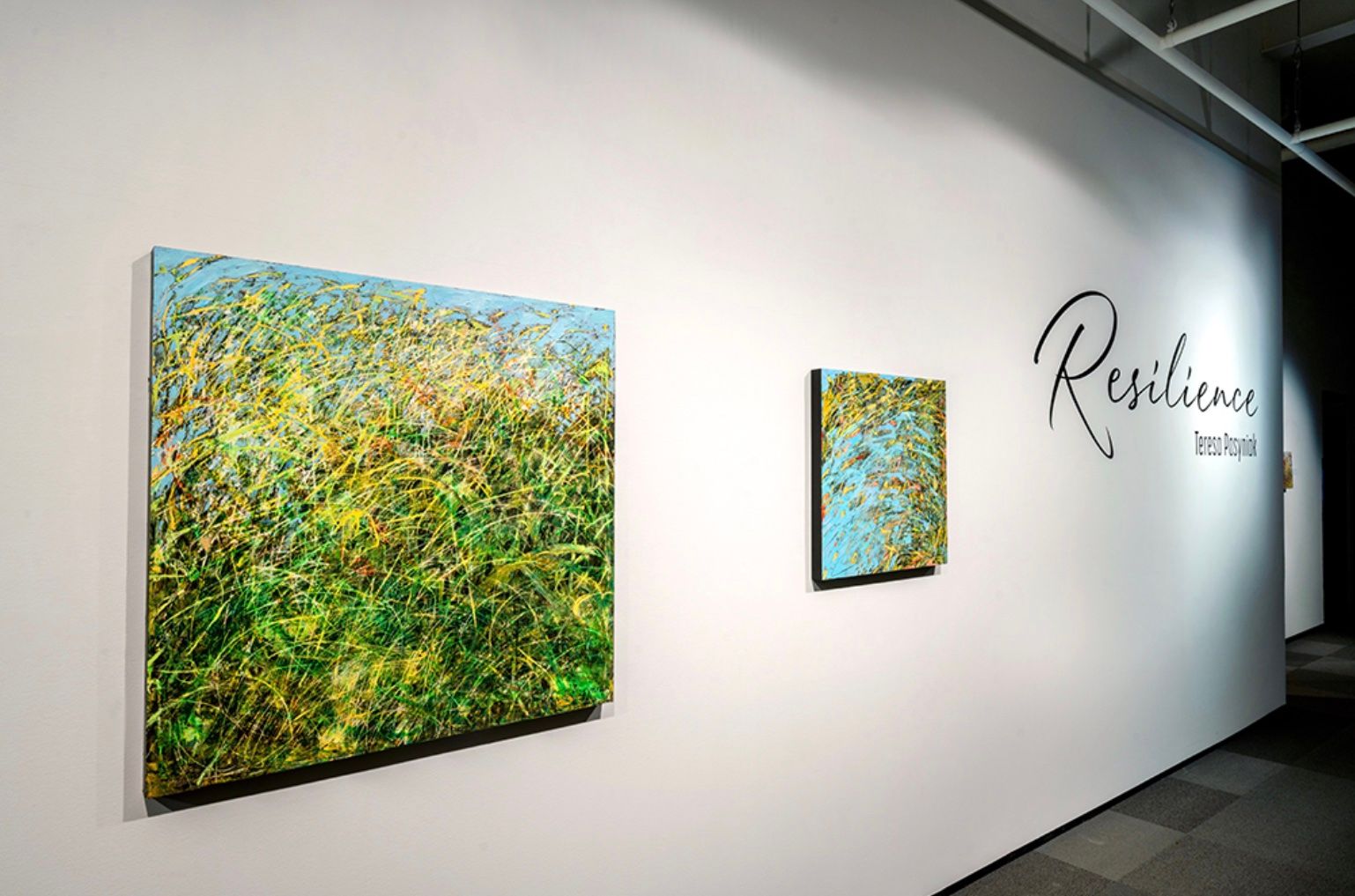 Experience Resilience at Nickle Galleries