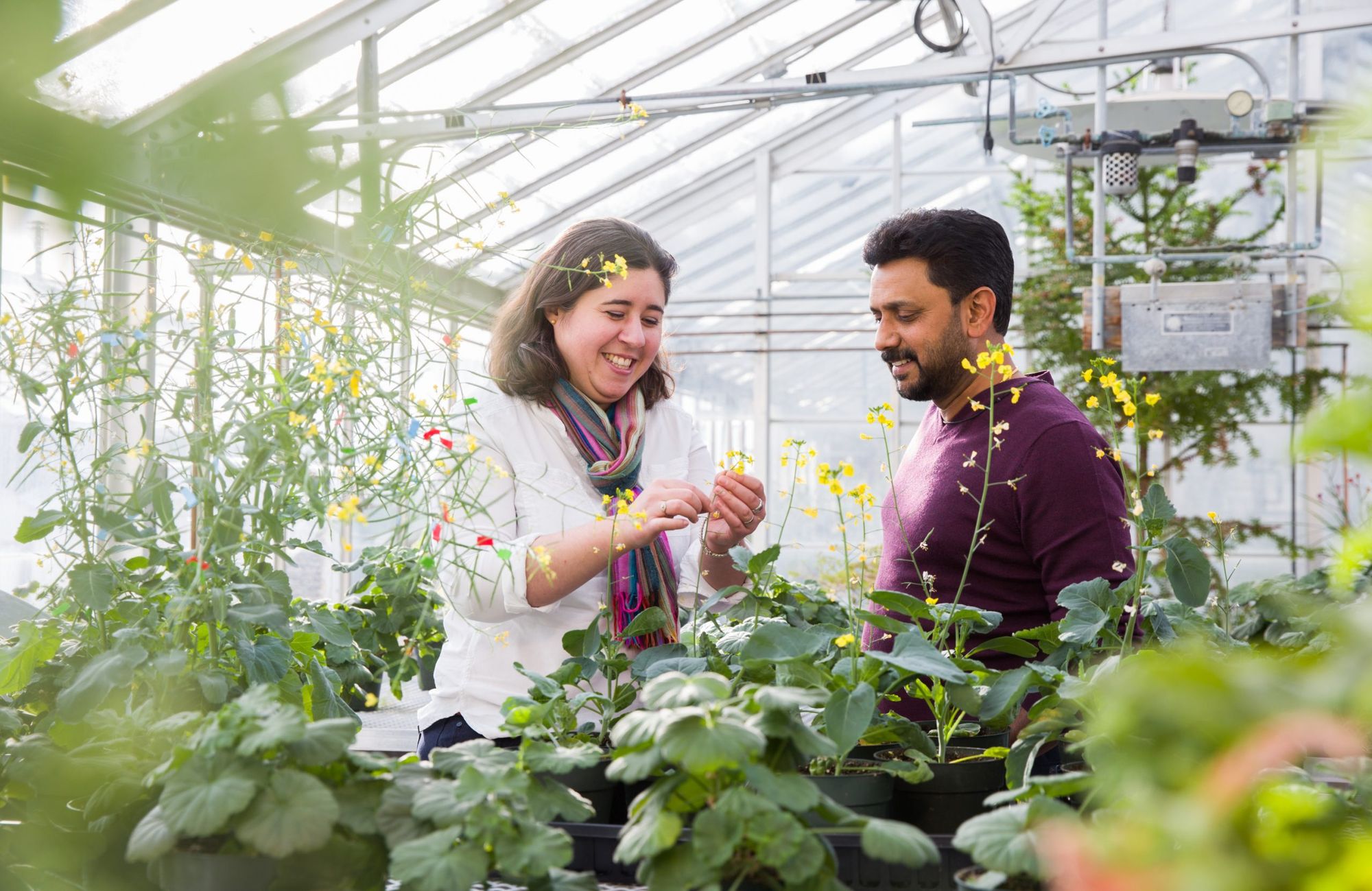 Researching plant genetics and innovating the agriculture industry: The Marcus Samuel lab