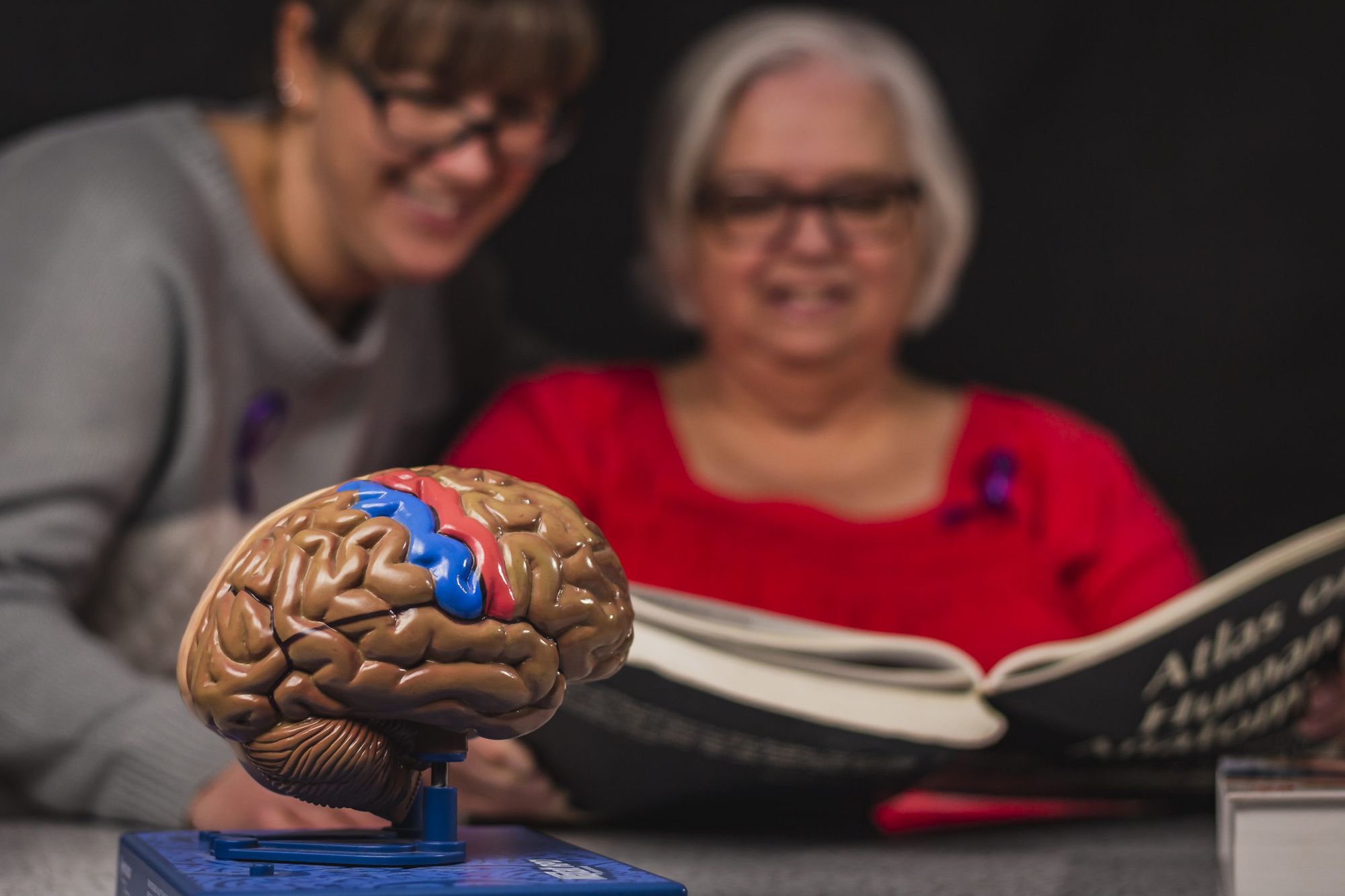 January marks Alzheimer's awareness month