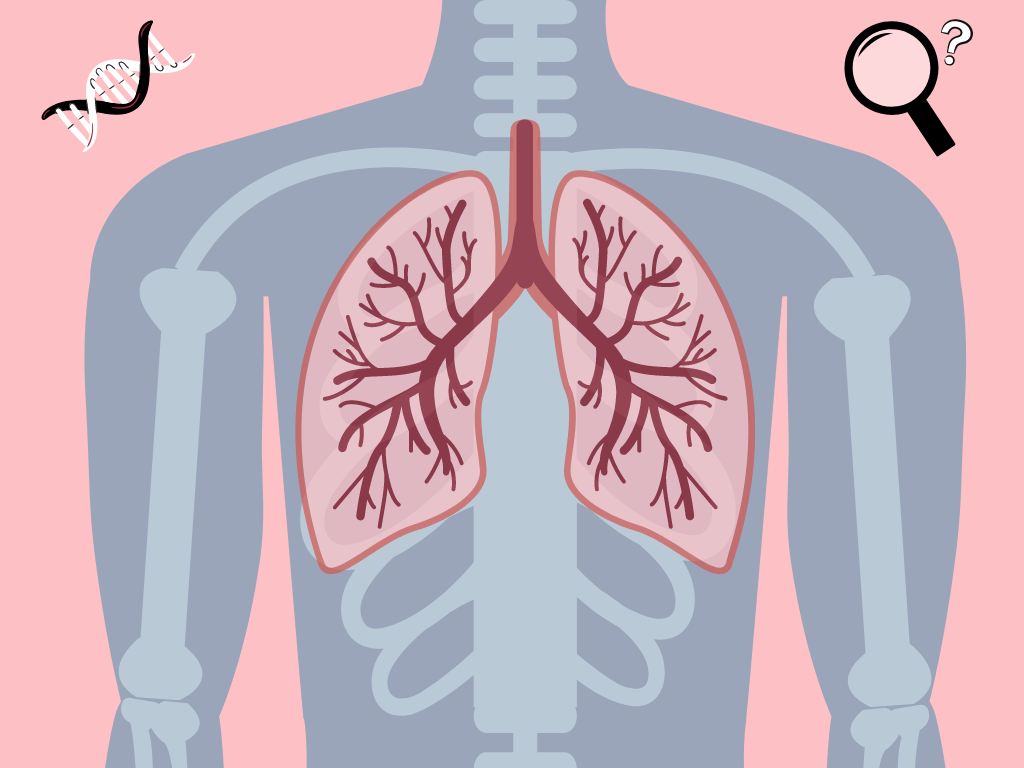 Cystic fibrosis and the effects of a microbial community