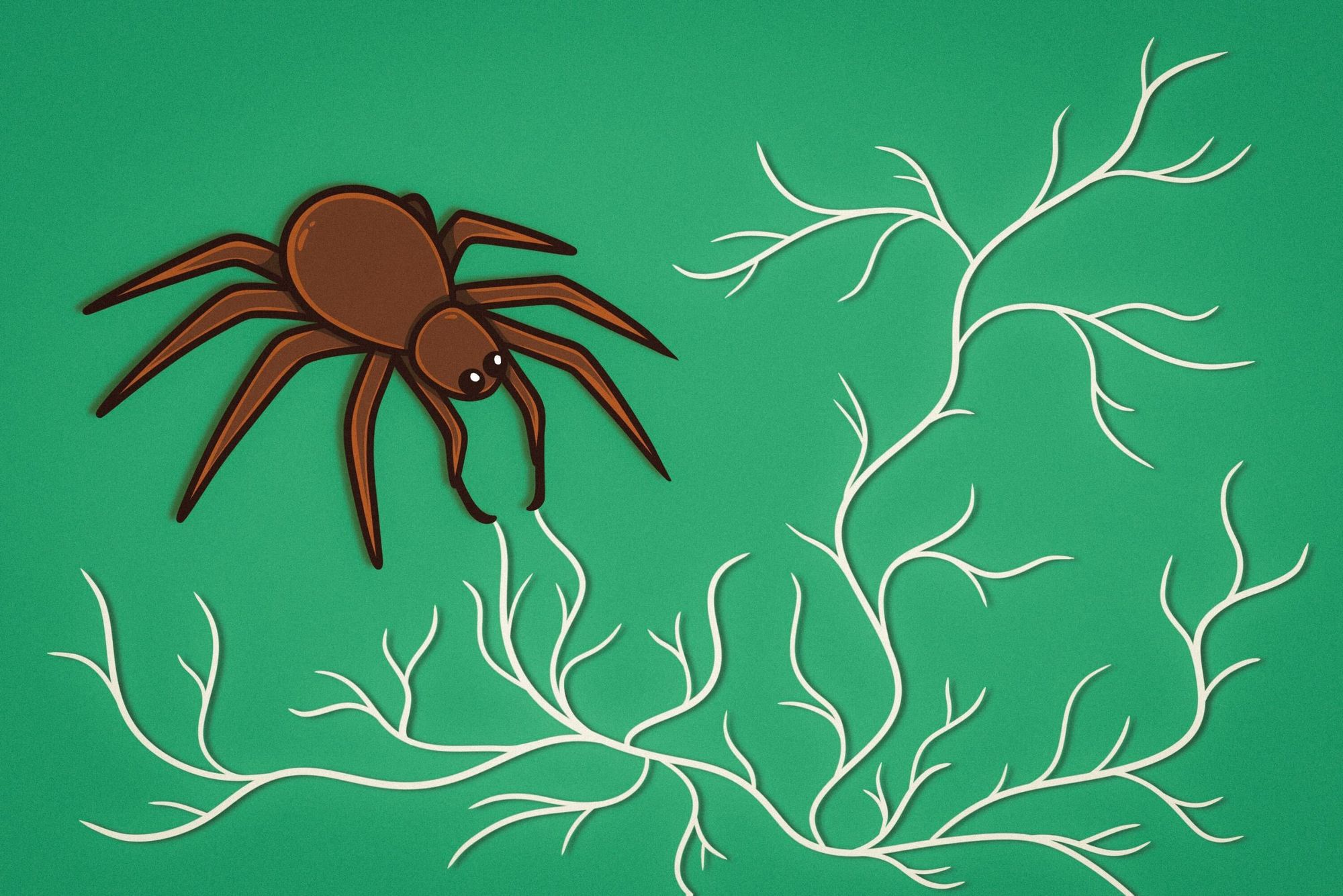 Halifax researchers on how spider silk can treat injured nerves