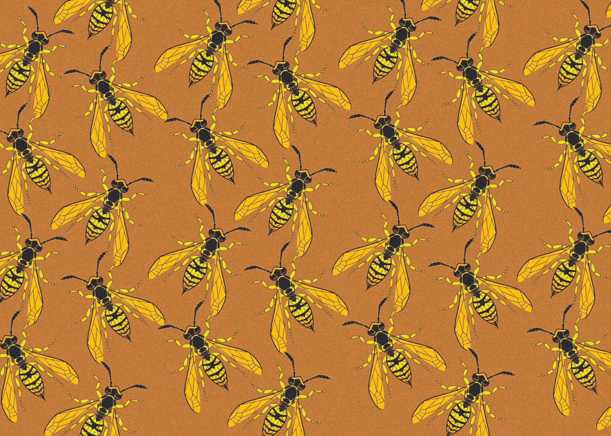 What was with the wasps? A reflection with Dr. Jackie Lebenzon on Alberta’s 2024 wasp boom