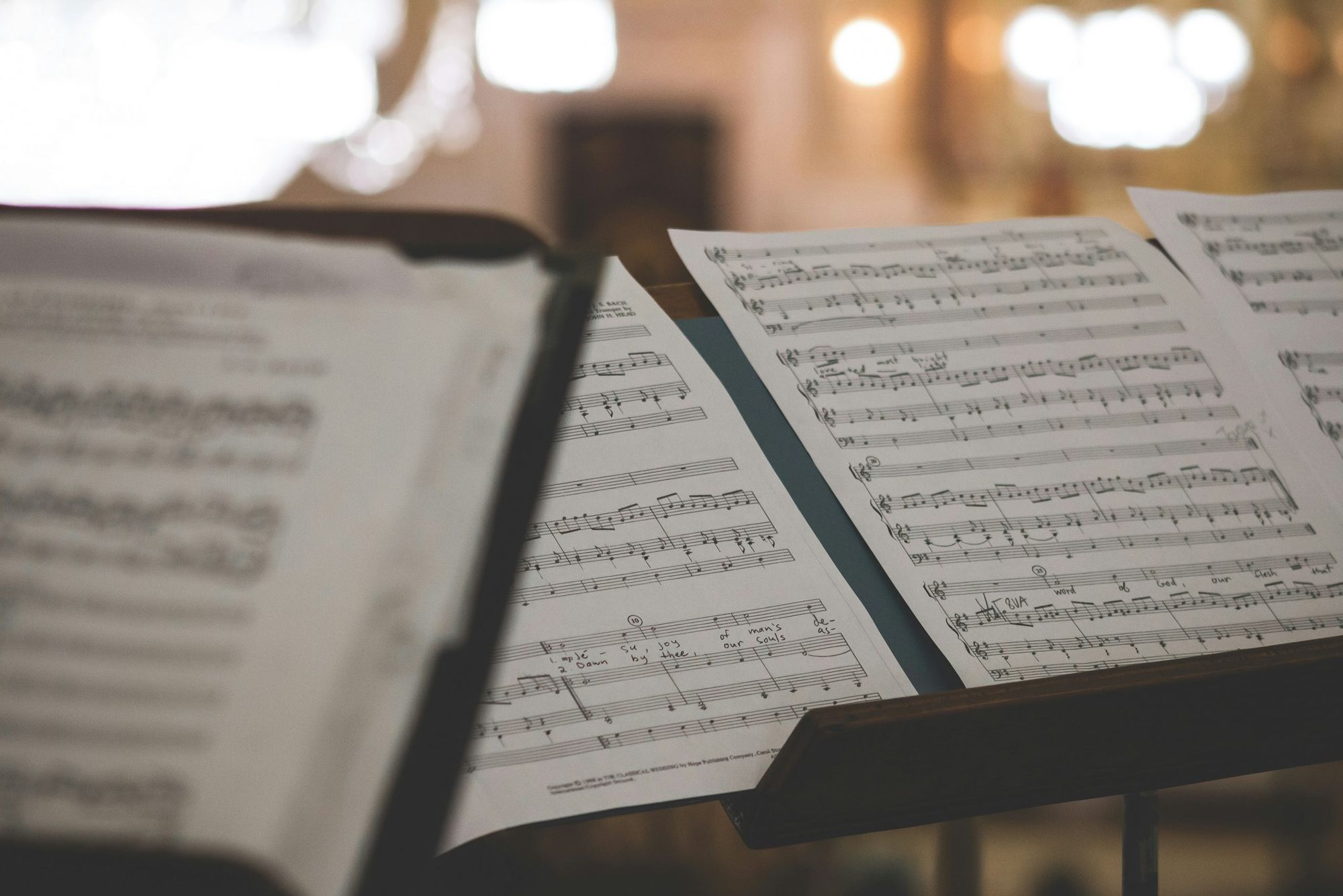 RBC Foundation/Calgary Philharmonic Concerto Concert is a stunning display of young talent
