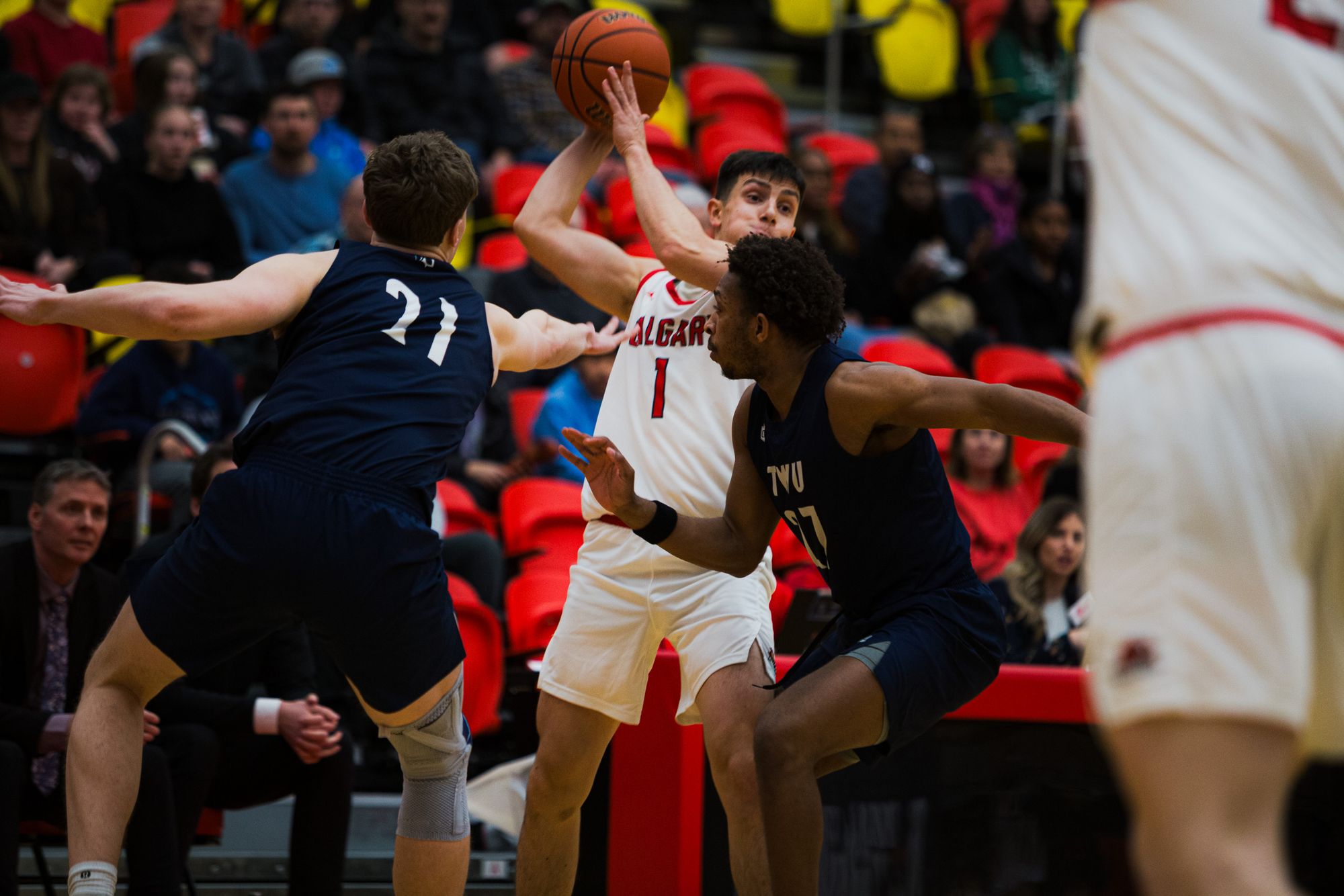 Dinos Playoffs Week 2: Dinos’ men’s basketball lives on and women’s wrestling dominate the mat