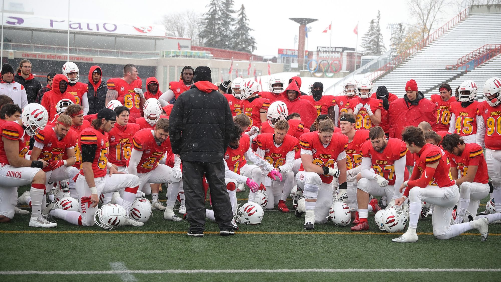 Dinos football team: Learning from falling
