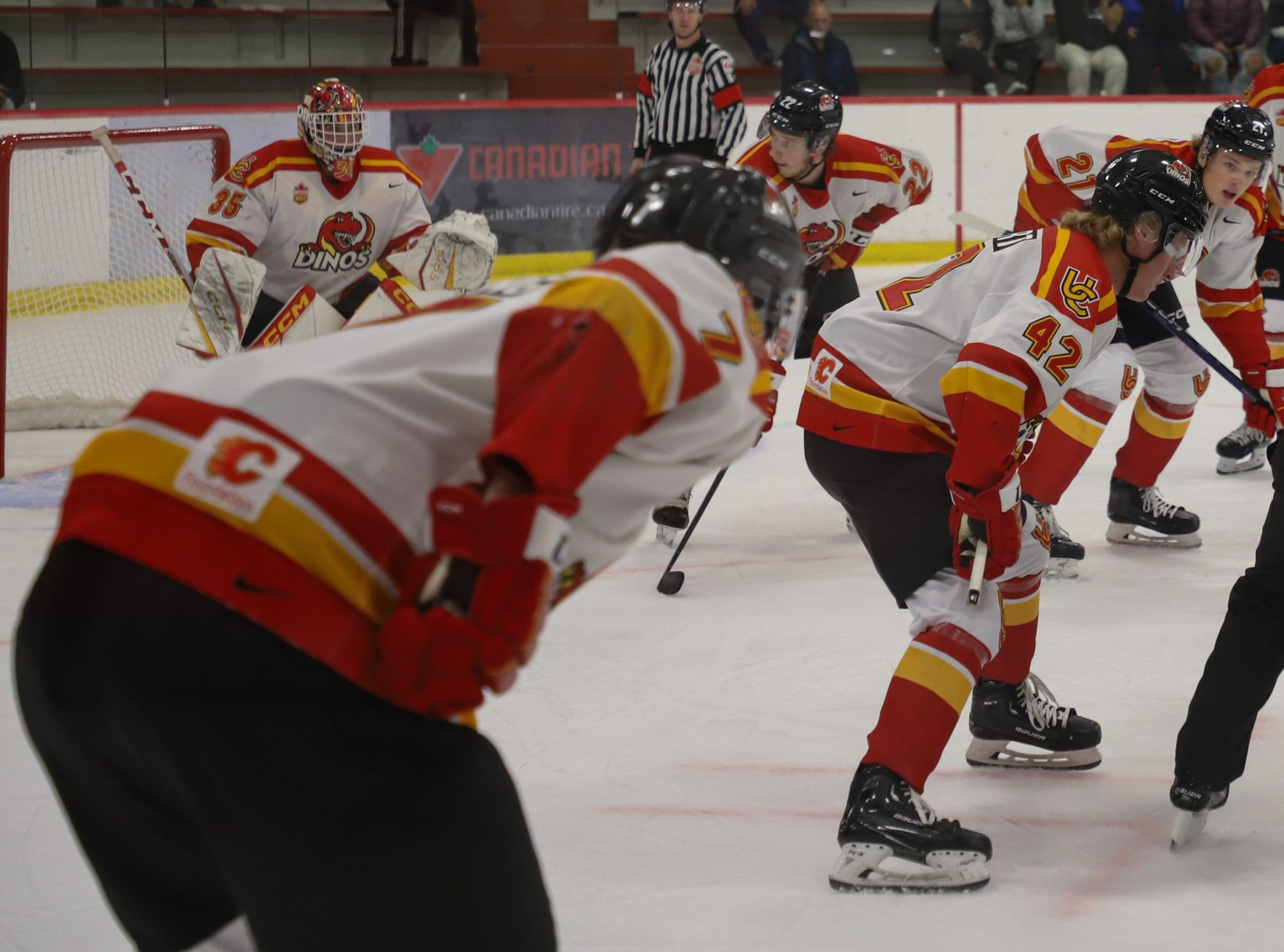 A promising upcoming season for the Dinos men’s hockey team