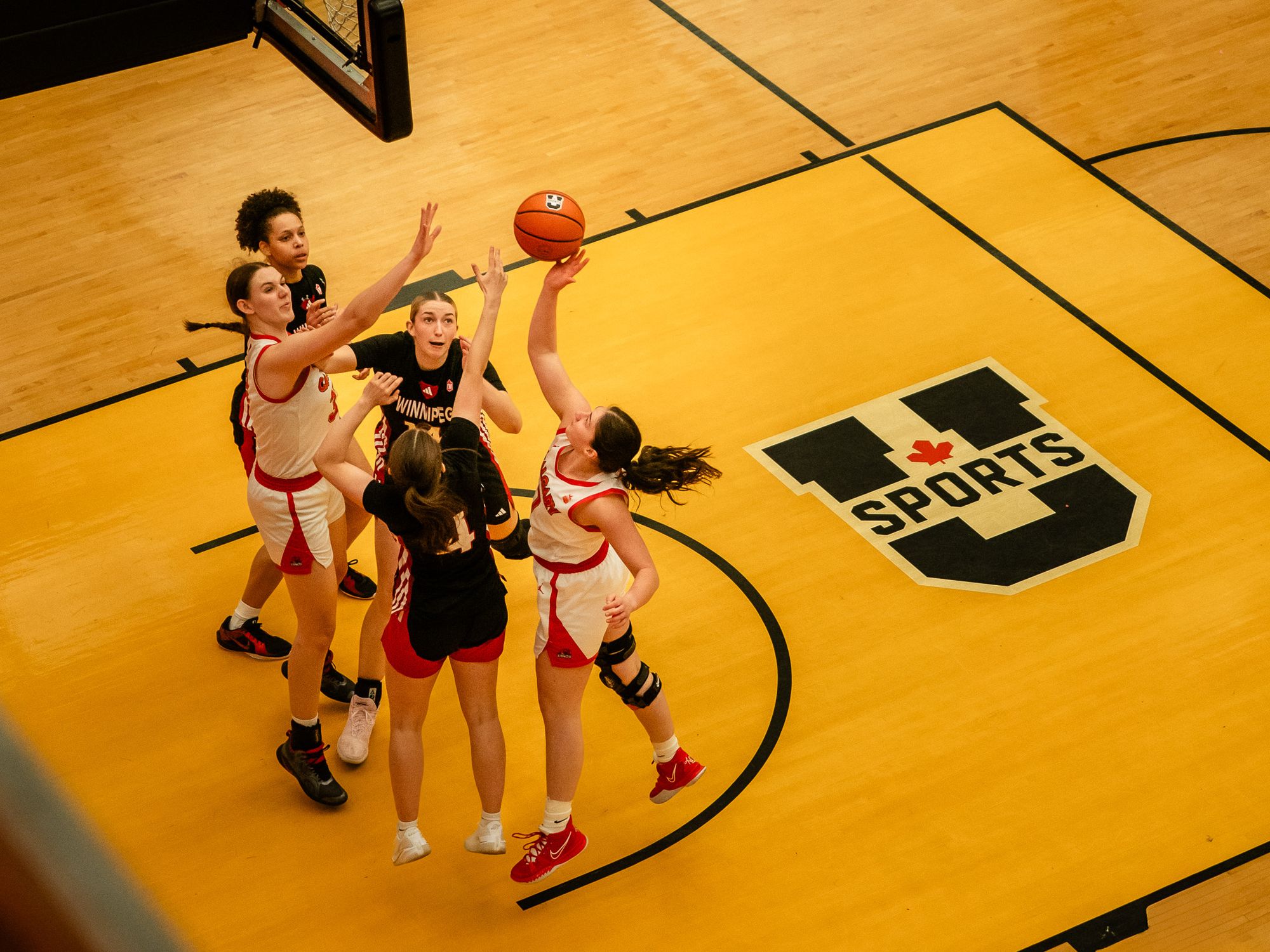 Crowchild basketball battle ends in a weekend sweep for women’s basketball