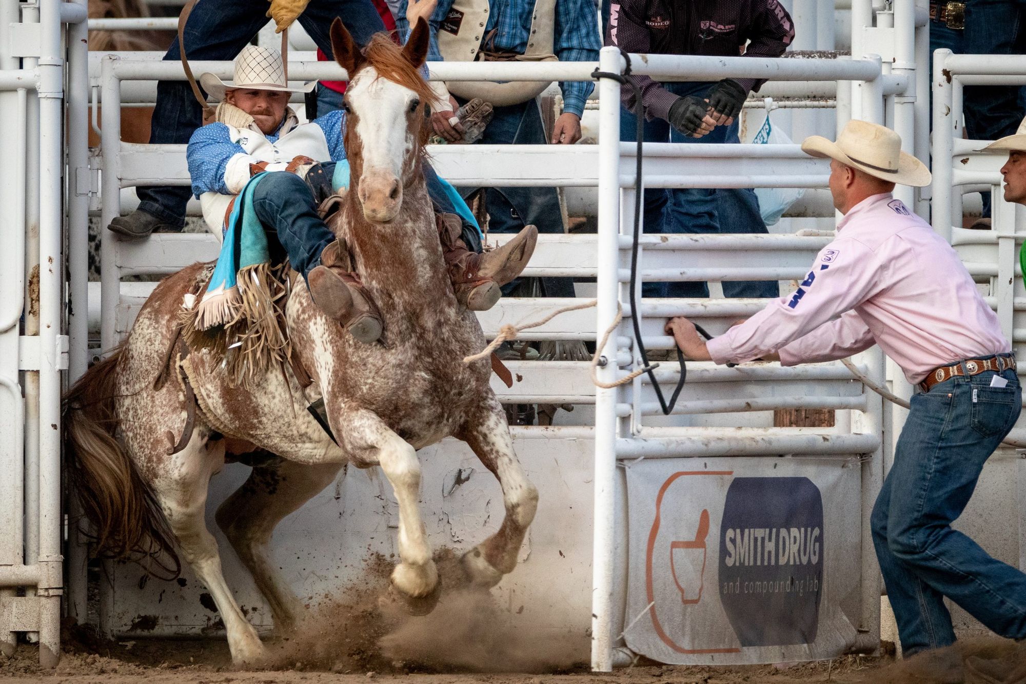 Stampede Rodeo Revisit