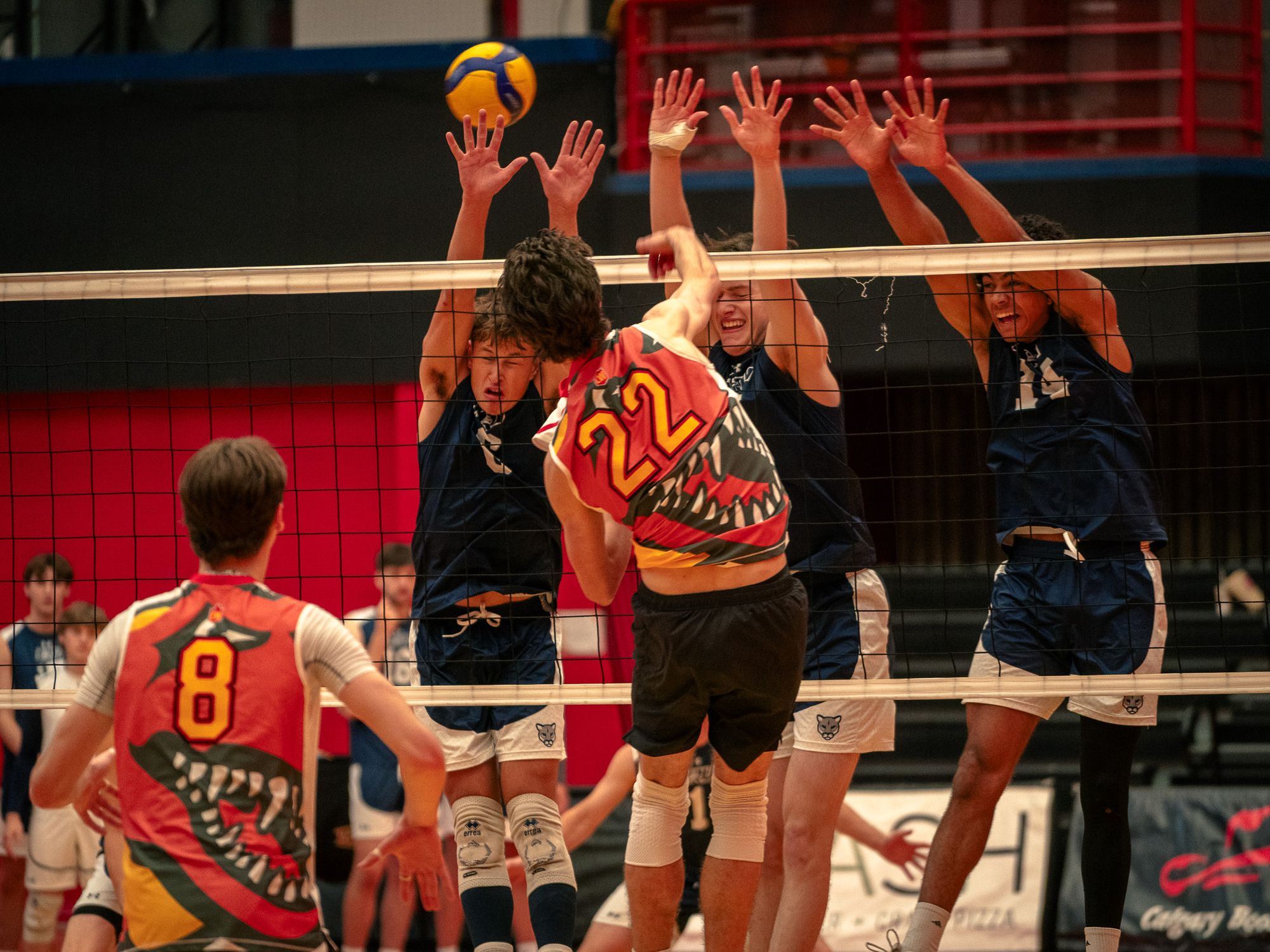 Dino Cup prepares Dinos for the upcoming volleyball season