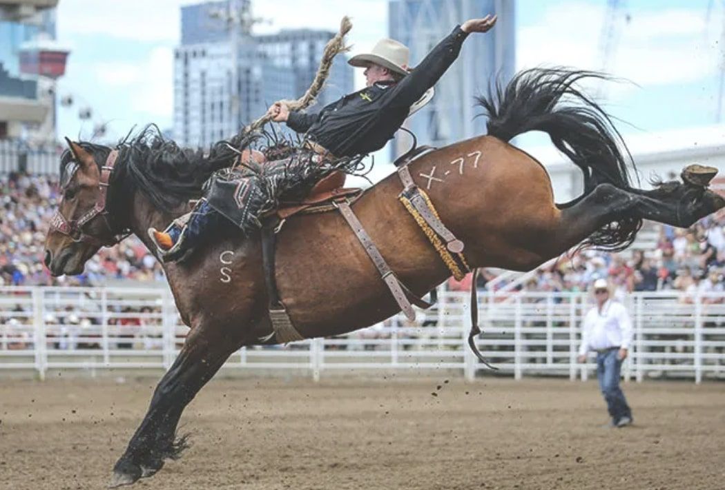 A dramatic end to the 2024 Calgary Stampede Rodeo