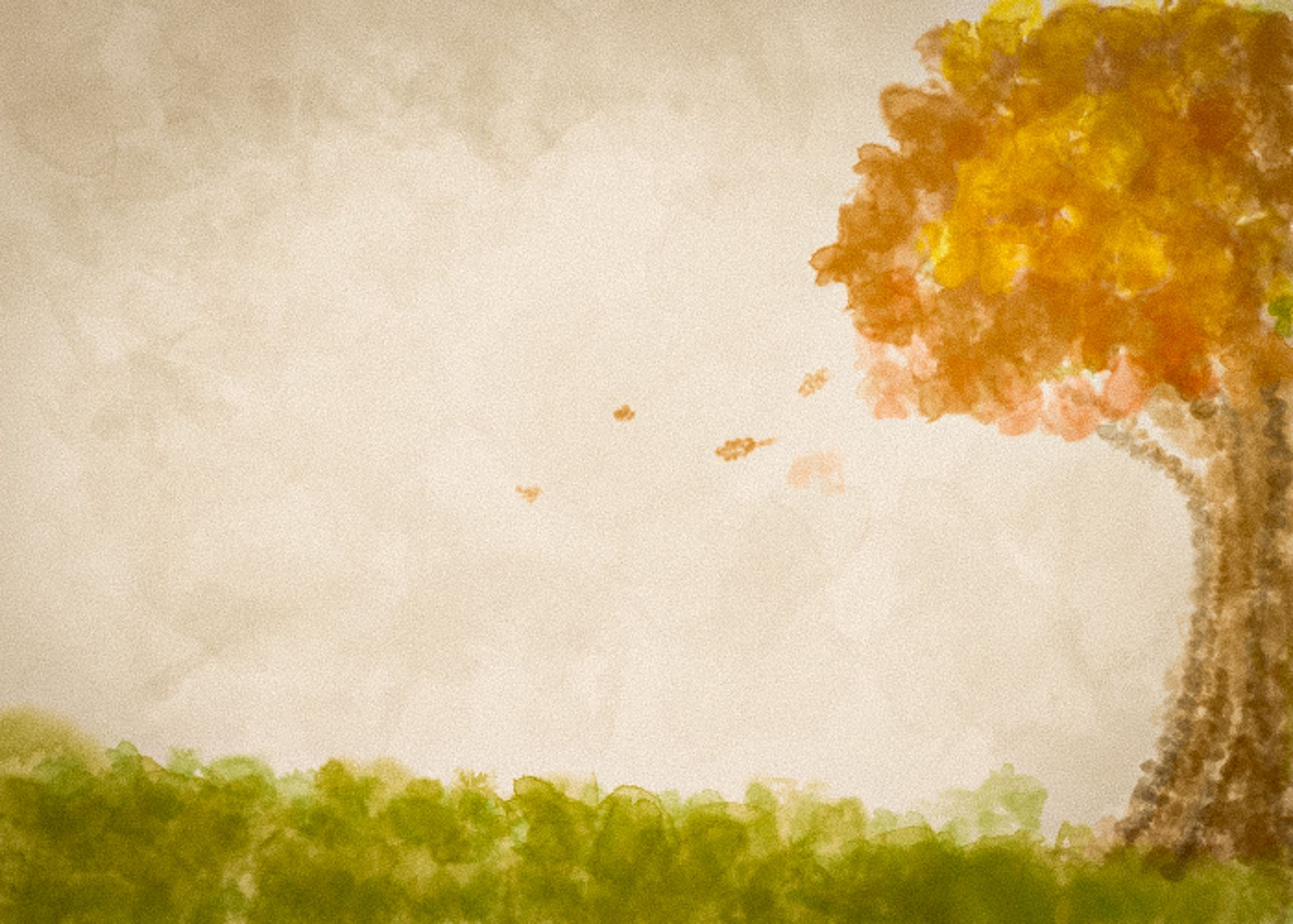 The autumn blues: Academia and romanticization