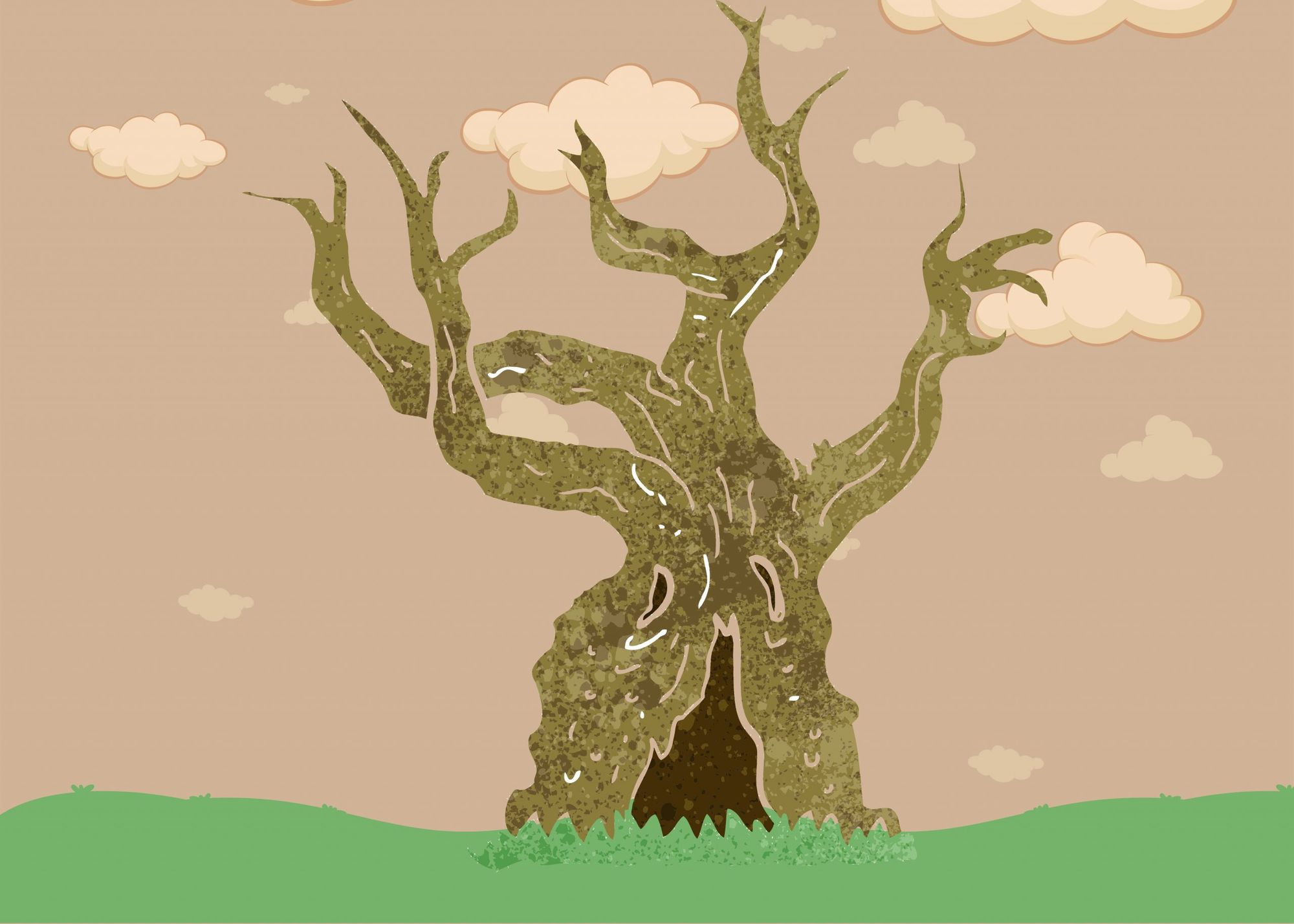 Ancient tree from before dinosaurs discovered in New Brunswick