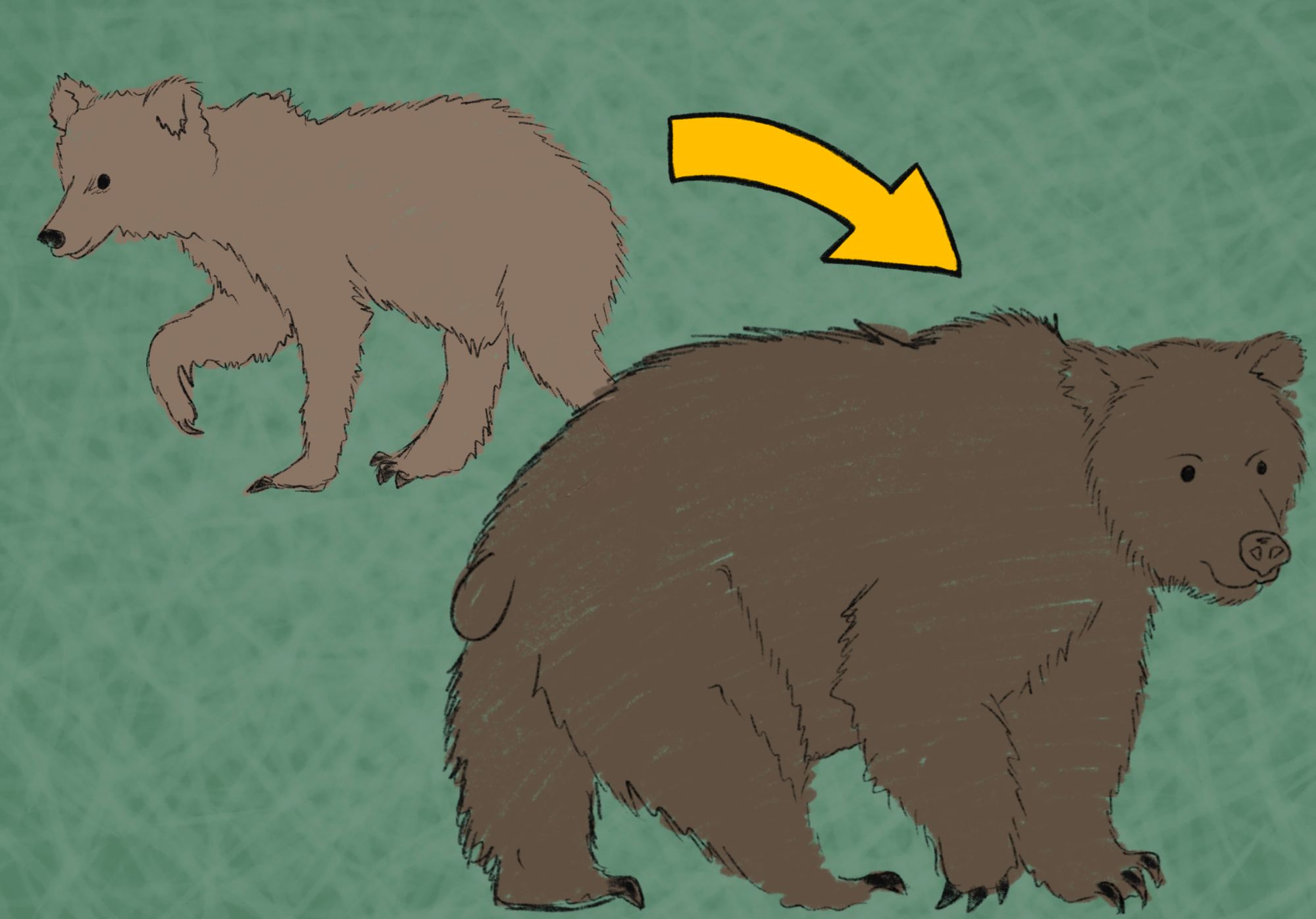 Fat Bear Week 2022 & unbearable cuteness