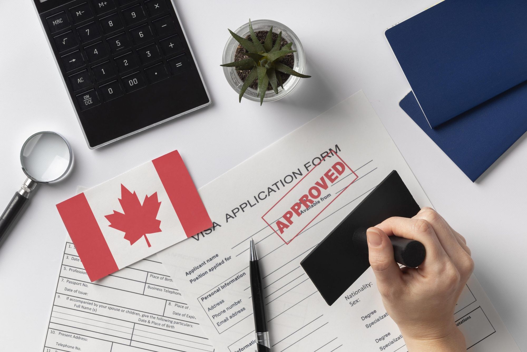 Understanding Indian immigration amid Canadian hostility