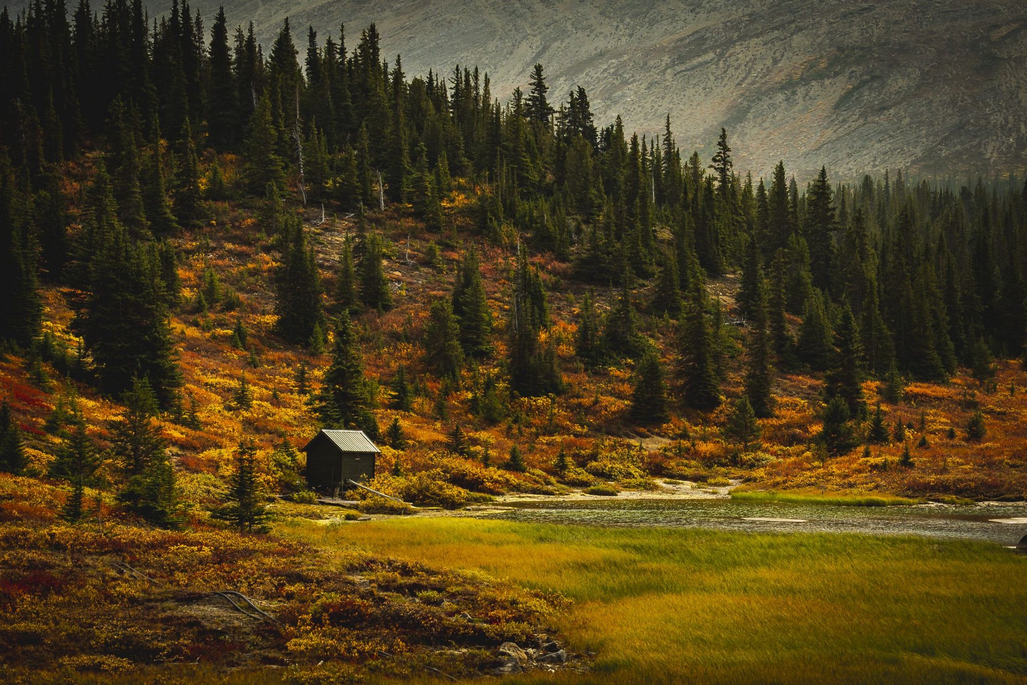 October feature: Eric Hilbrecht